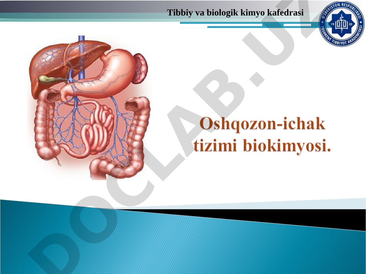 Ovqat hazm qilish tizimi sekretsiyasi va jigar funksiyalari
