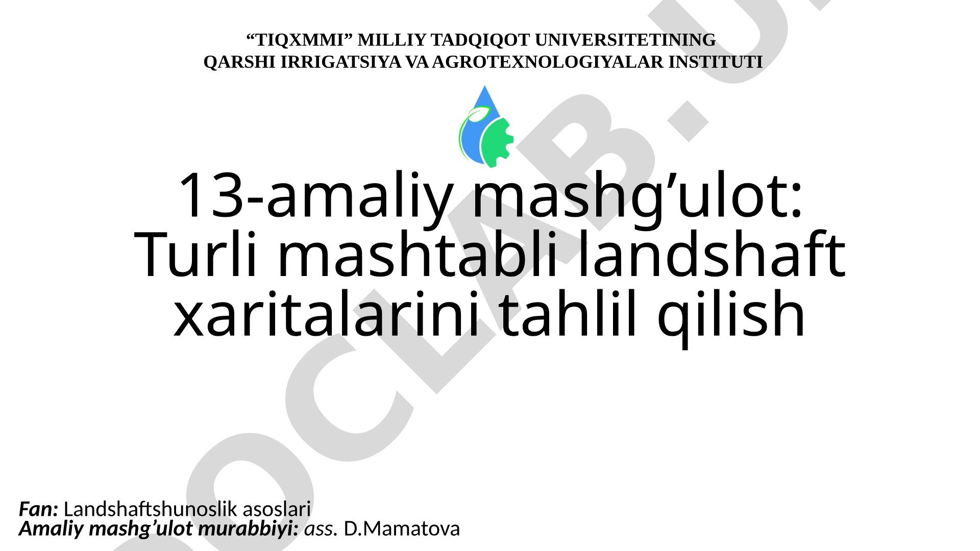 Turli mashtabli landshaft xaritalarini tahlil qilish