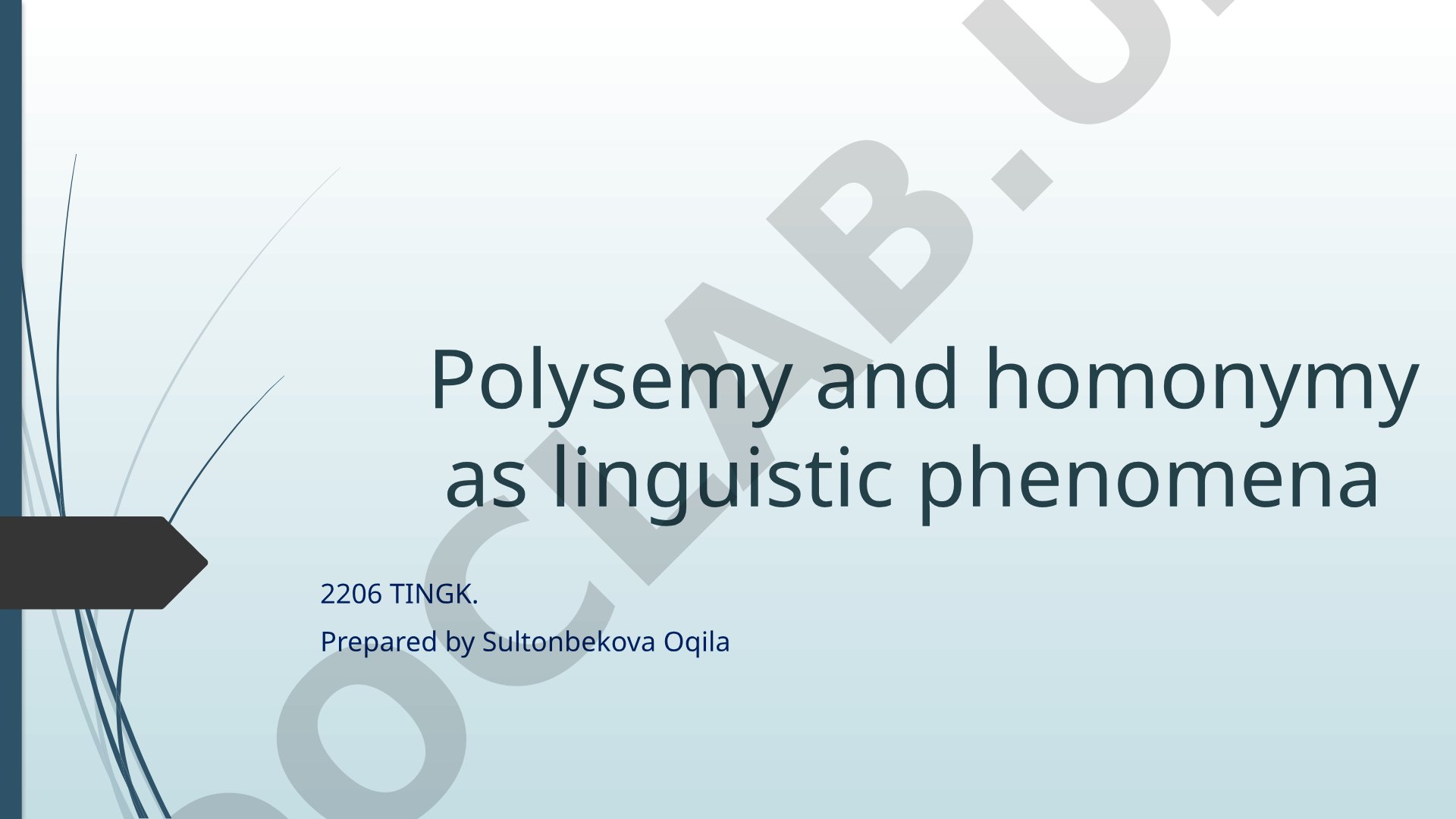 Polysemy and homonymy as linguistic phenomena