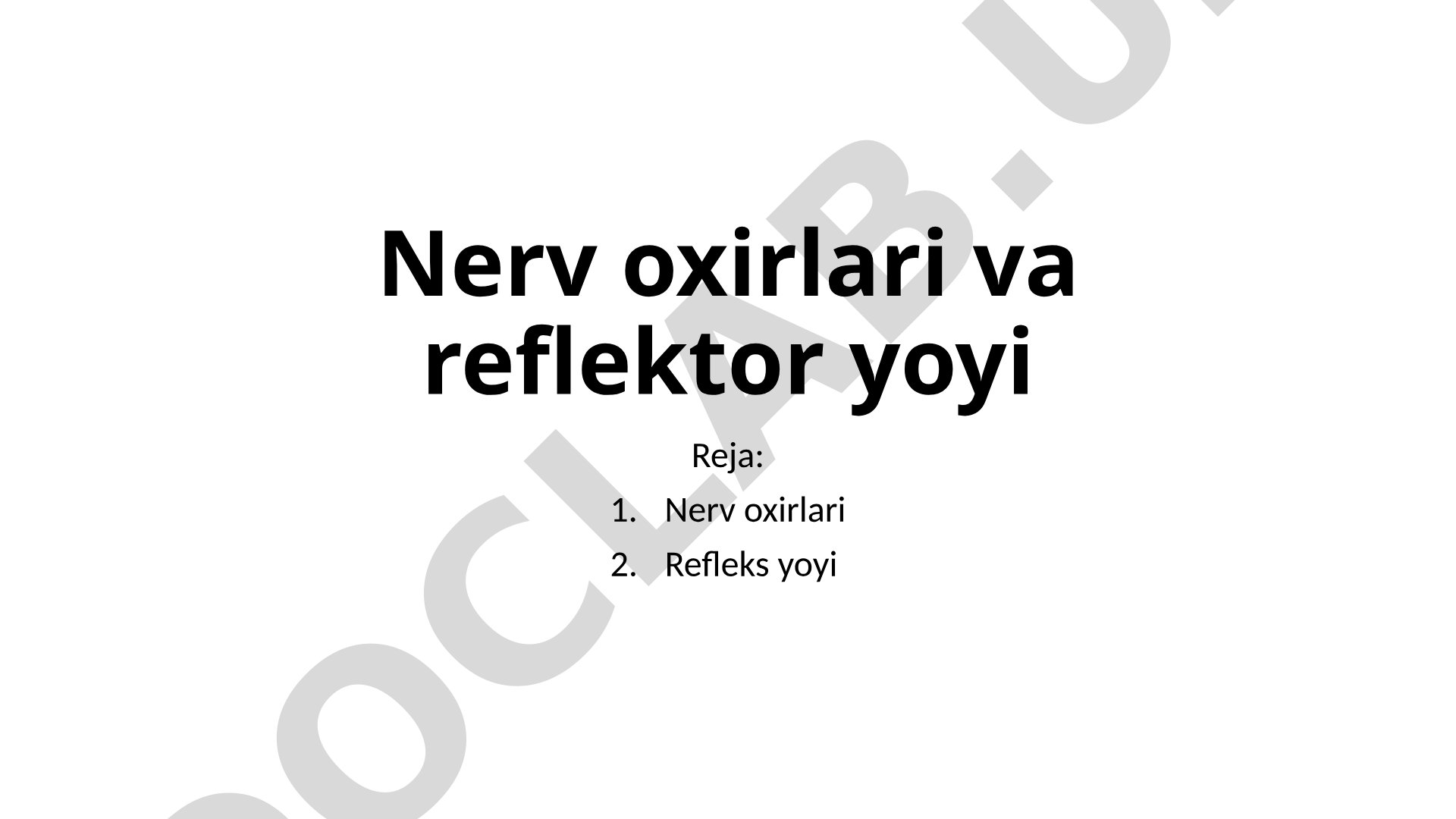 Nerv oxirlari va reflektor yoyi