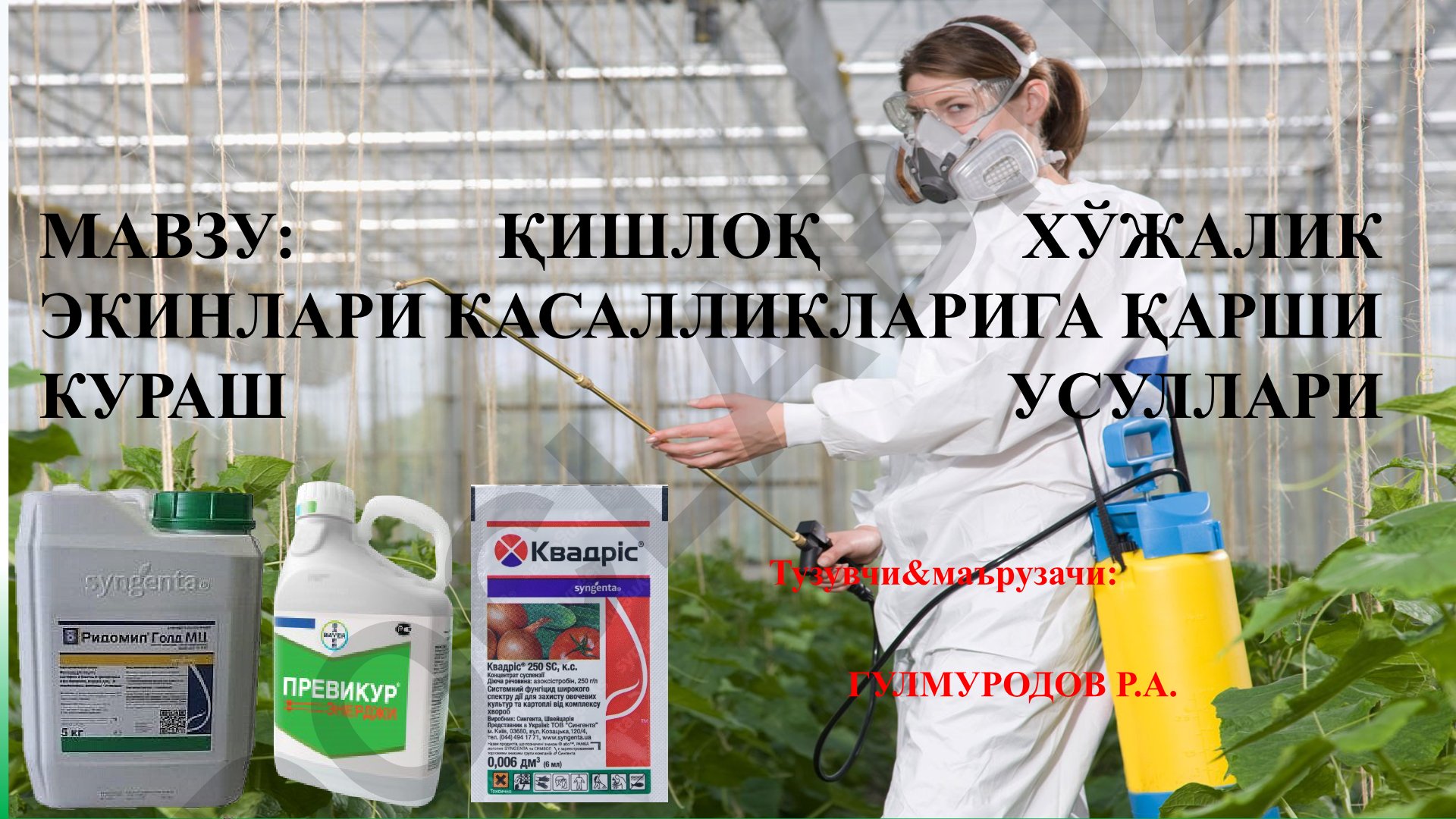 Қишлоқ хўжалик экинлари касалликларига қарши кураш усуллари