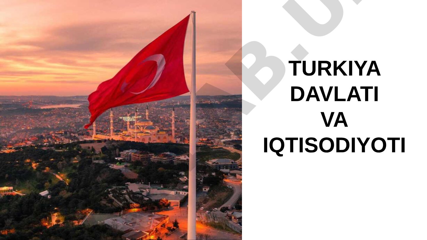 Turkiya davlati va iqtisodiyoti