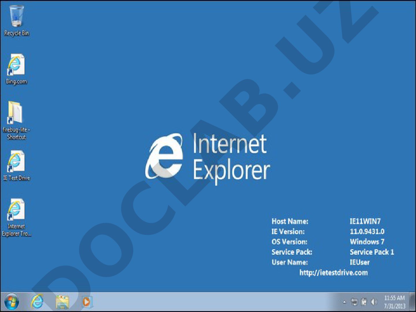 IBM WebExplorer brauzeri