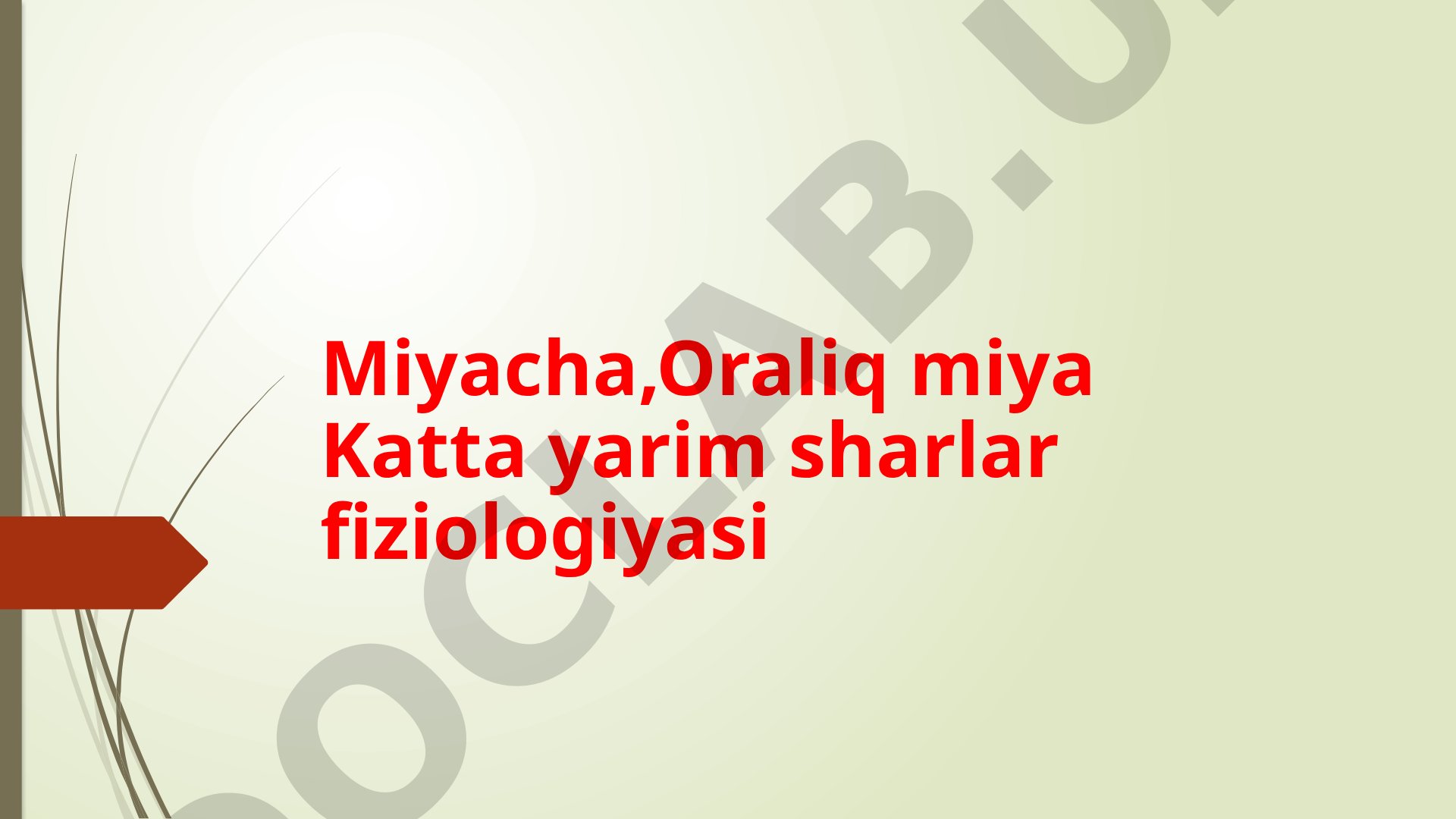 Miyacha, Oraliq miya Katta yarim sharlar fiziologiyasi