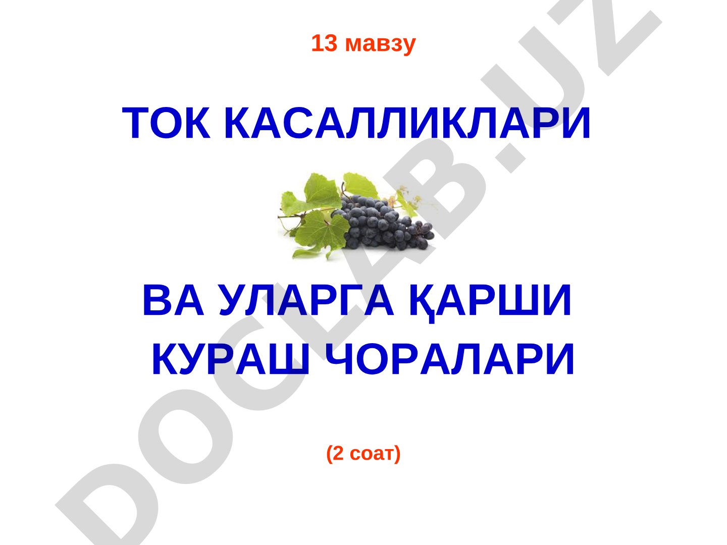 Ток касалликлари ва уларга қарши кураш чоралари