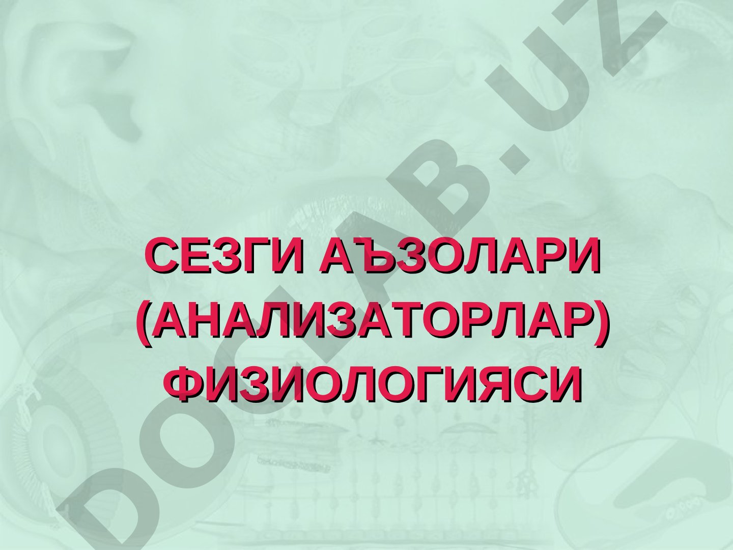 Сезги аъзолари (анализаторлар) физиологияси