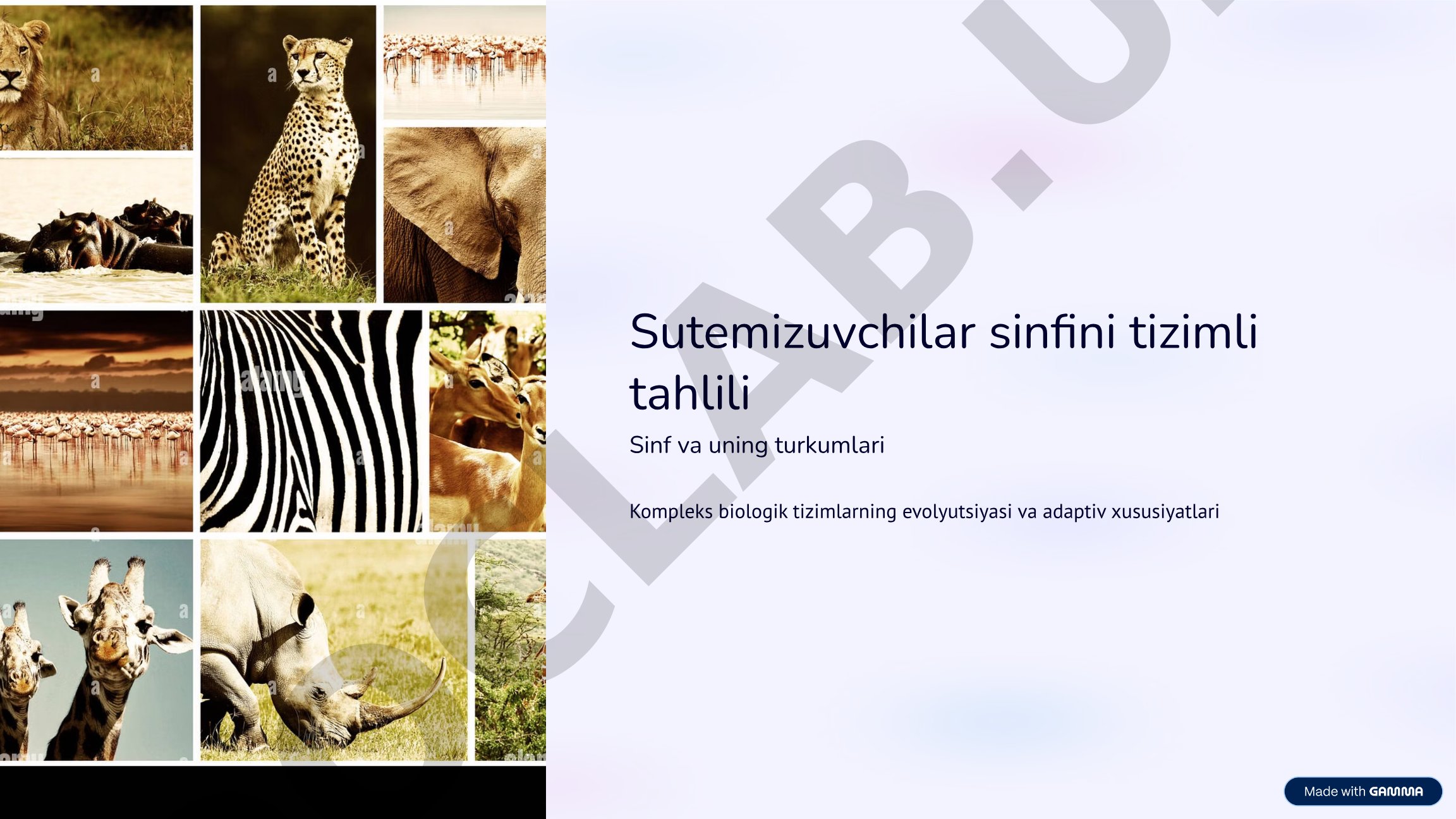 Sutemizuvchilar sinfini tizimli tahlili