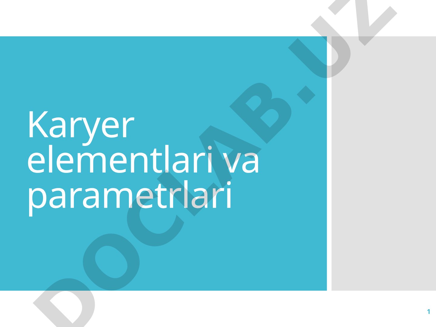 Karyer elementlari va parametrlari