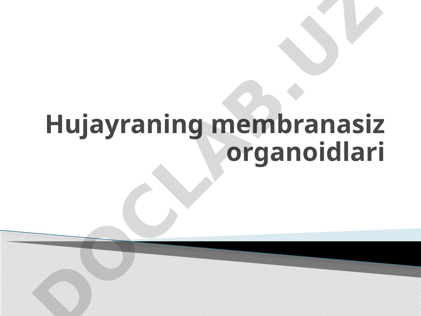 Hujayraning membranasiz organoidlari