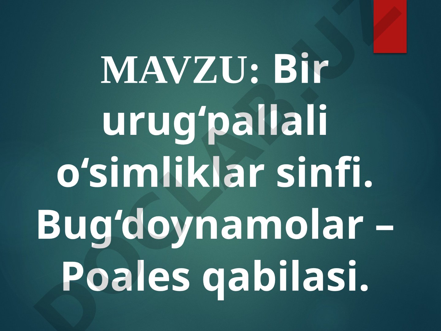 Bir urug‘pallali o‘simliklar sinfi. Bug‘doynamolar – Poales qabilasi