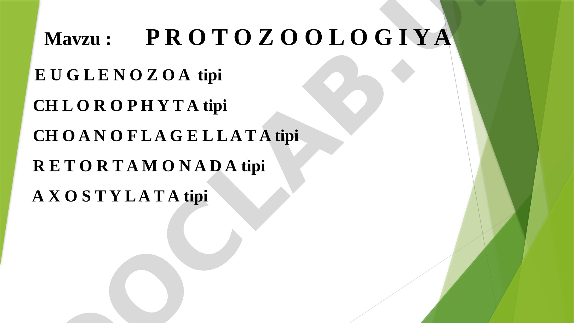 Protozoologiya: Euglenozoa tipi, Chlorophyta tipi, Choanoflagellata tipi, Retortamonada tipi, Axostylata tipi. Hayvonlarning ko’payishi.