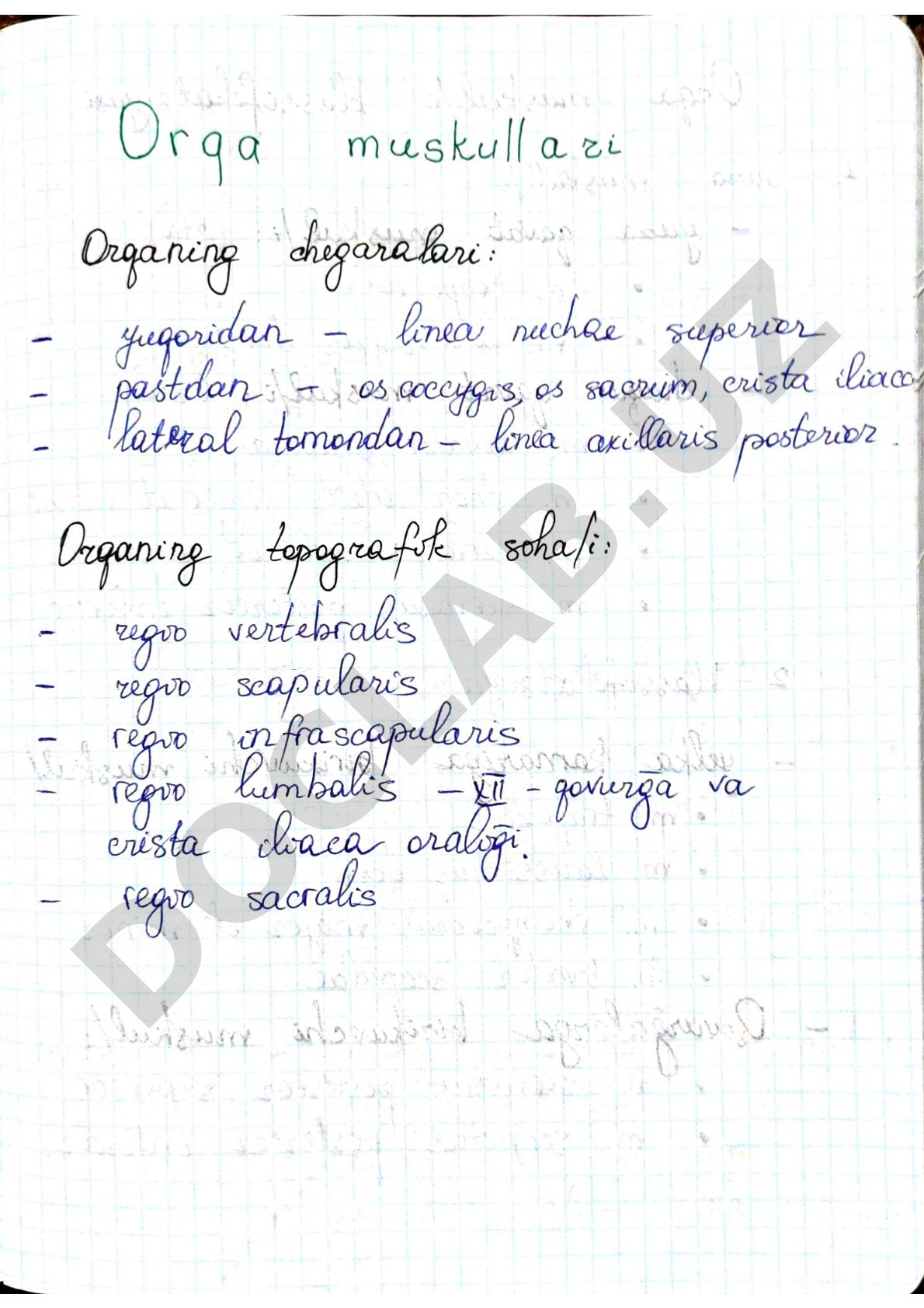 Sahifa raqamlari