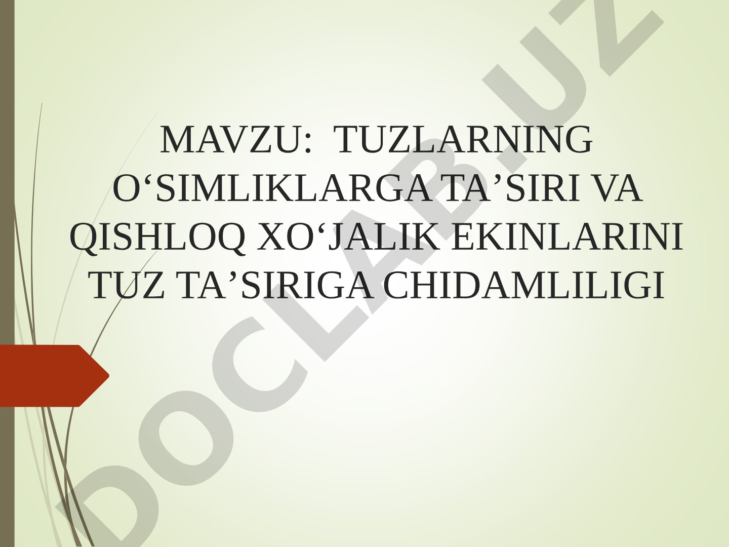 Tuzlarning oʻsimliklarga taʼsiri va qishloq xoʻjalik ekinlarini tuz taʼsiriga chidamliligi
