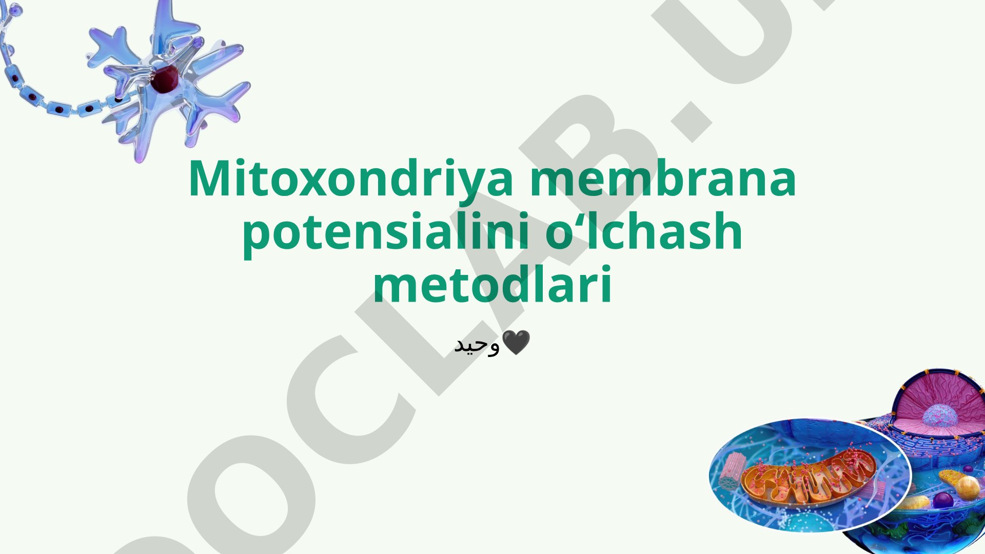 Mitoxondriya membrana potensialini oʻlchash metodlari
