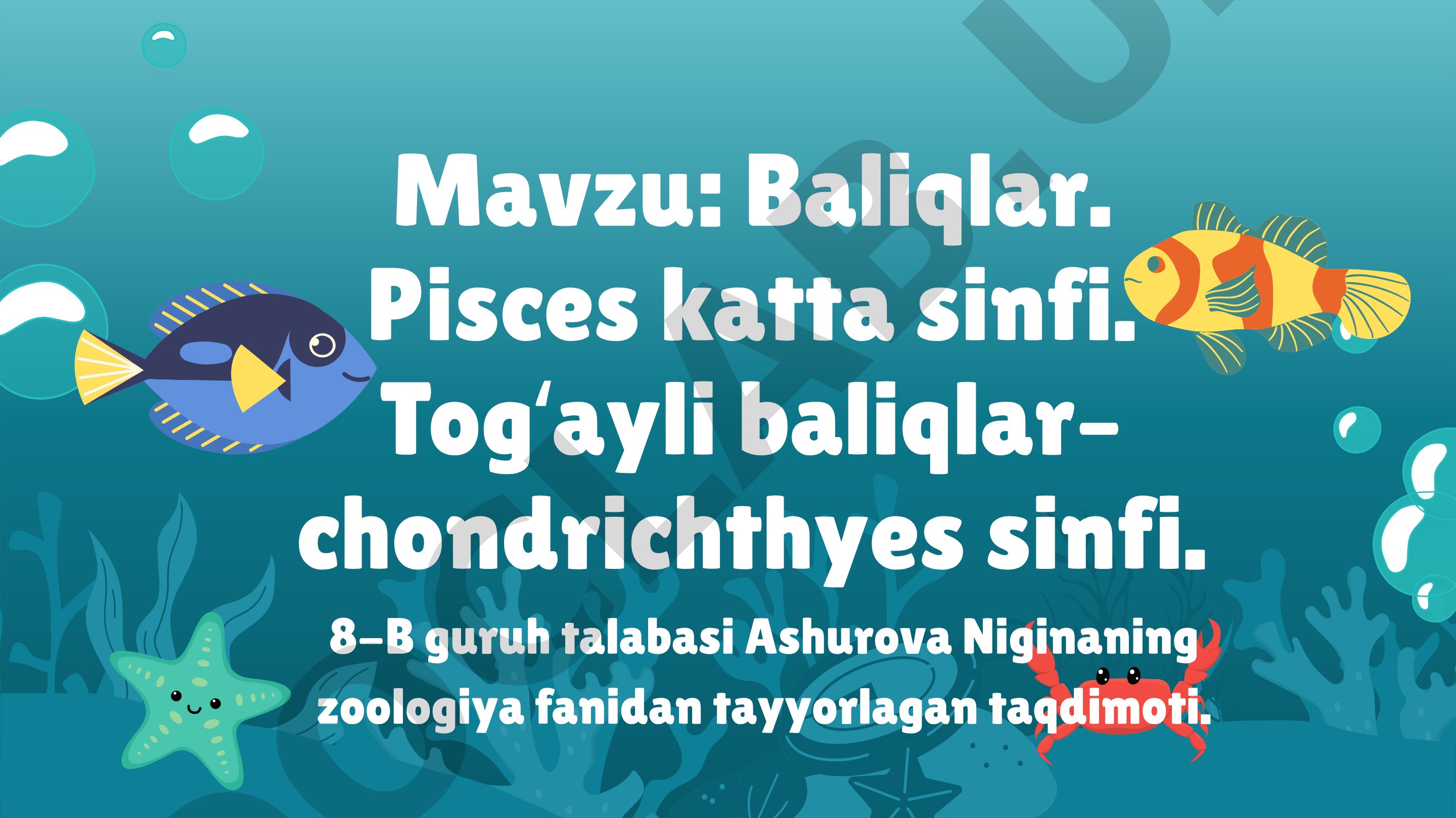Baliqlar. Pisces katta sinfi. Togʻayli baliqlar– chondrichthyes sinfi