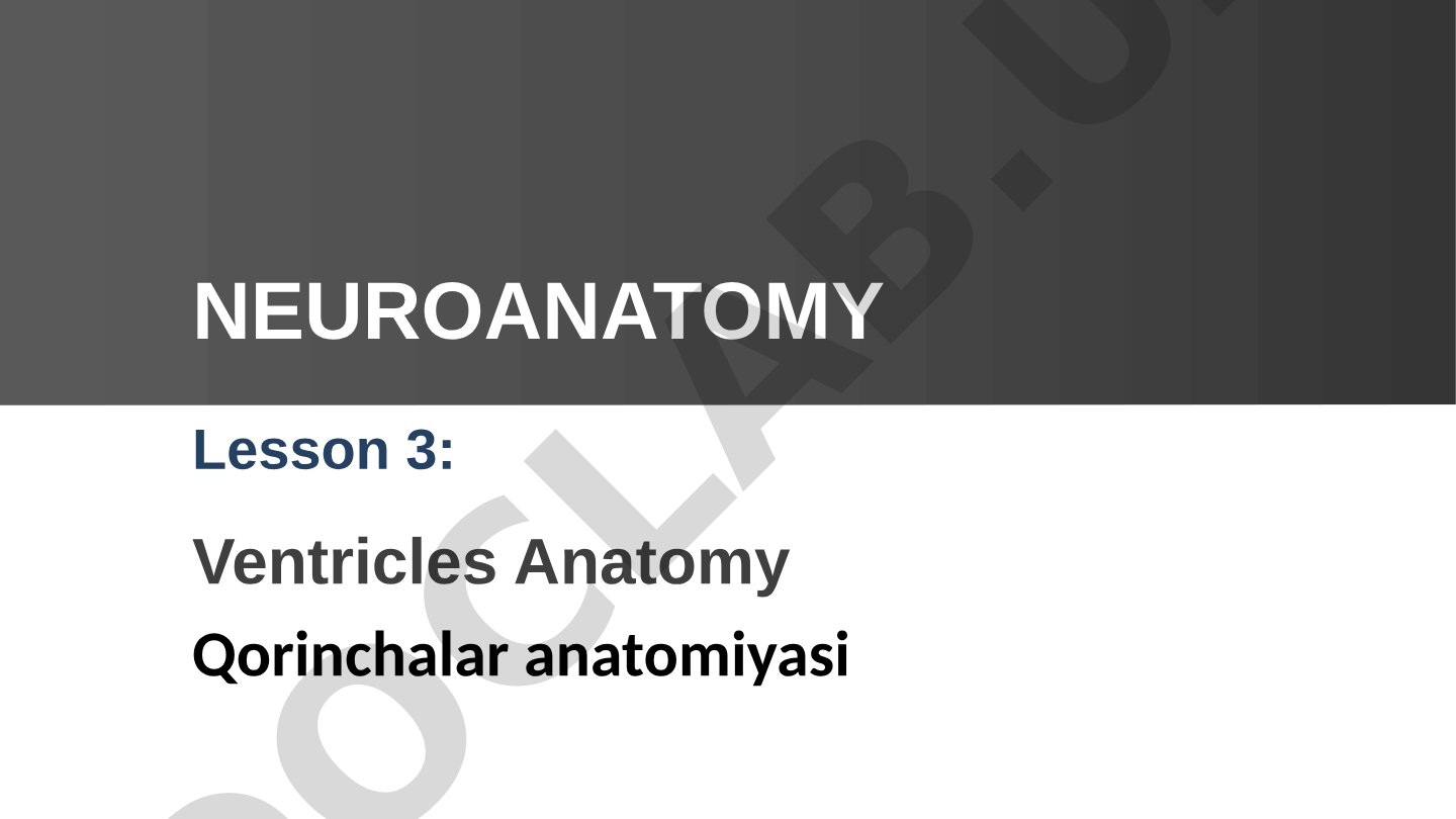 Bosh miya qorinchalari tizimining tuzilishi, CSF aylanishi va klinik jihatlari