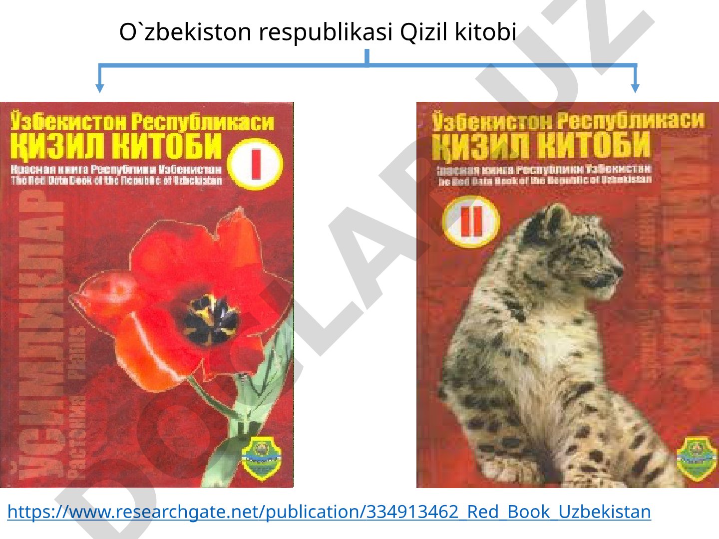 O'zbekiston respublikasi Qizil kitobi