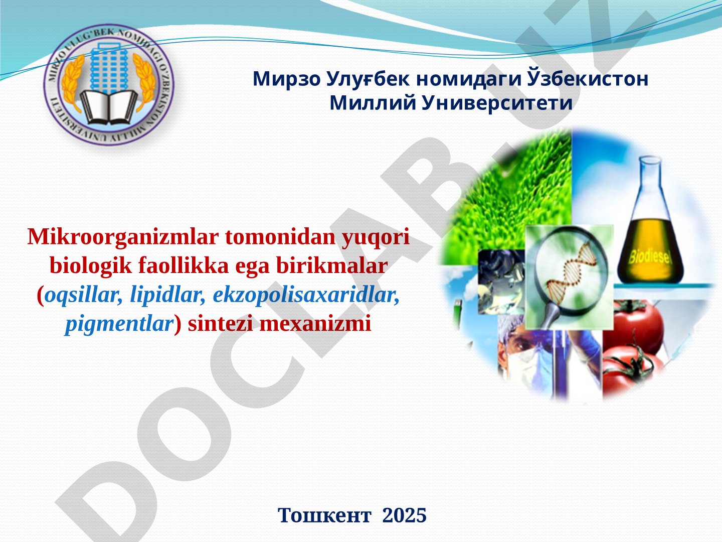Mikroorganizmlar tomonidan yuqori biologik faollikka ega birikmalar (oqsillar, lipidlar, ekzopolisaxaridlar, pigmentlar) sintezi mexanizmi