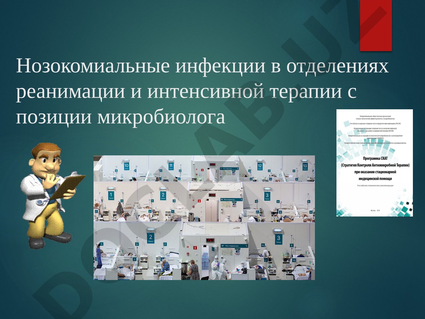 Нозокомиальные инфекции в отделениях реанимации и интенсивной терапии с позиции микробиолога