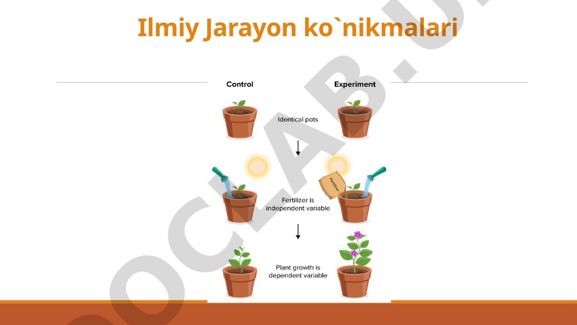 Ilmiy jarayon ko'nikmalari