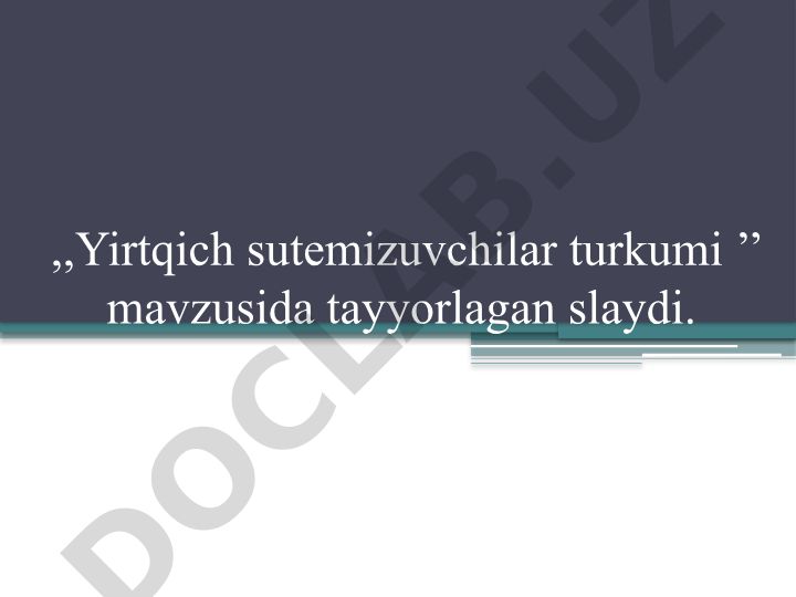 Yirtqich sutemizuvchilar turkumi