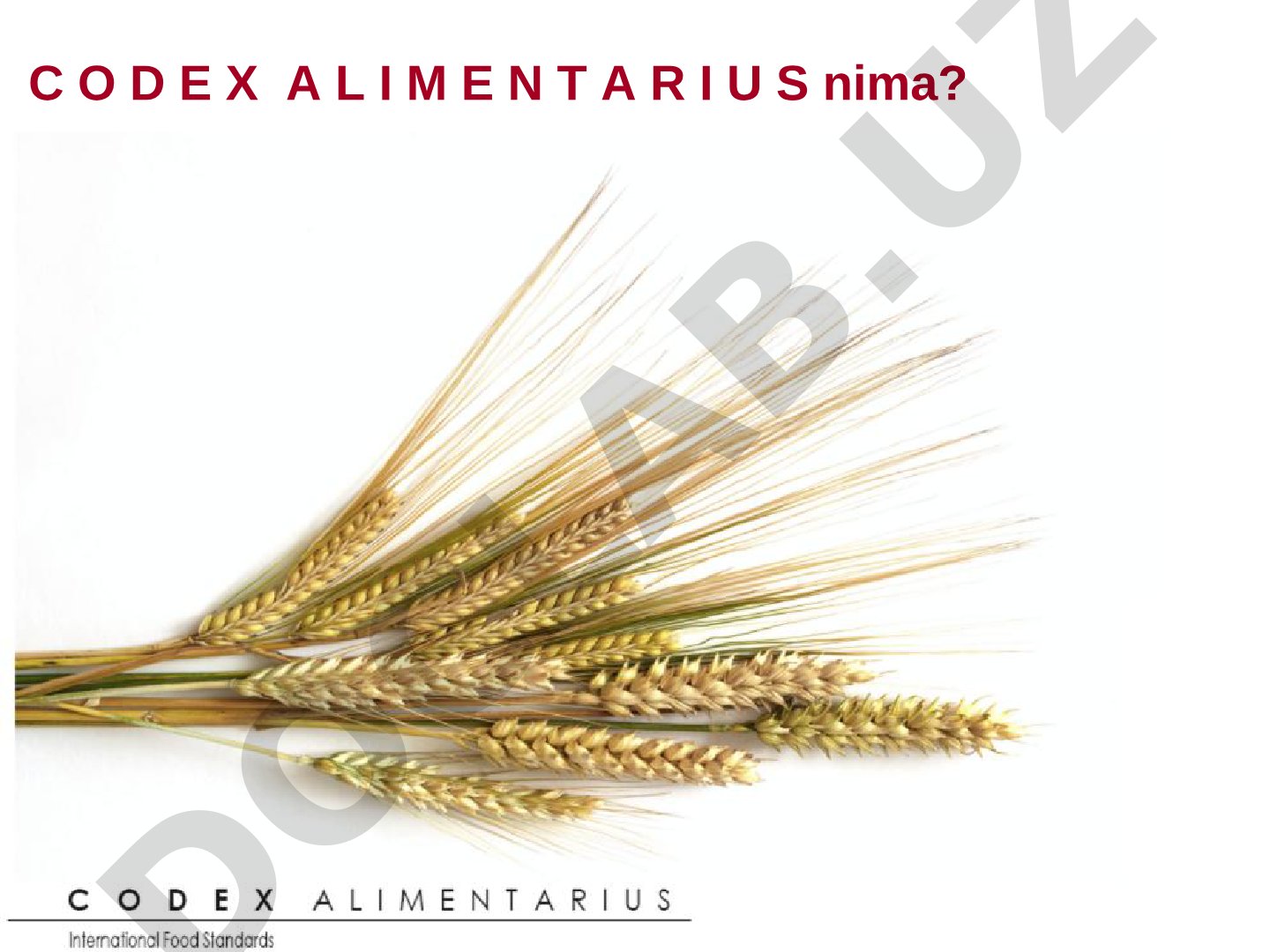 Codex Alimentarius – xalqaro oziq-ovqat standartlari