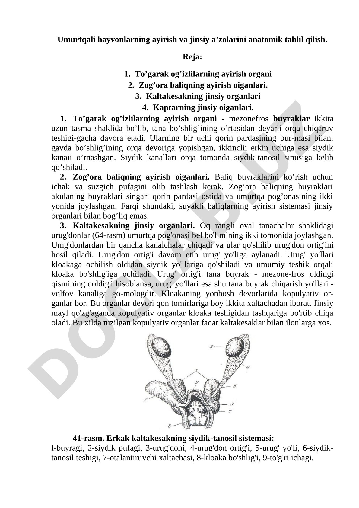 Umurtqali hayvonlarning ayirish va jinsiy a’zolarini anatomik tahlil qilish