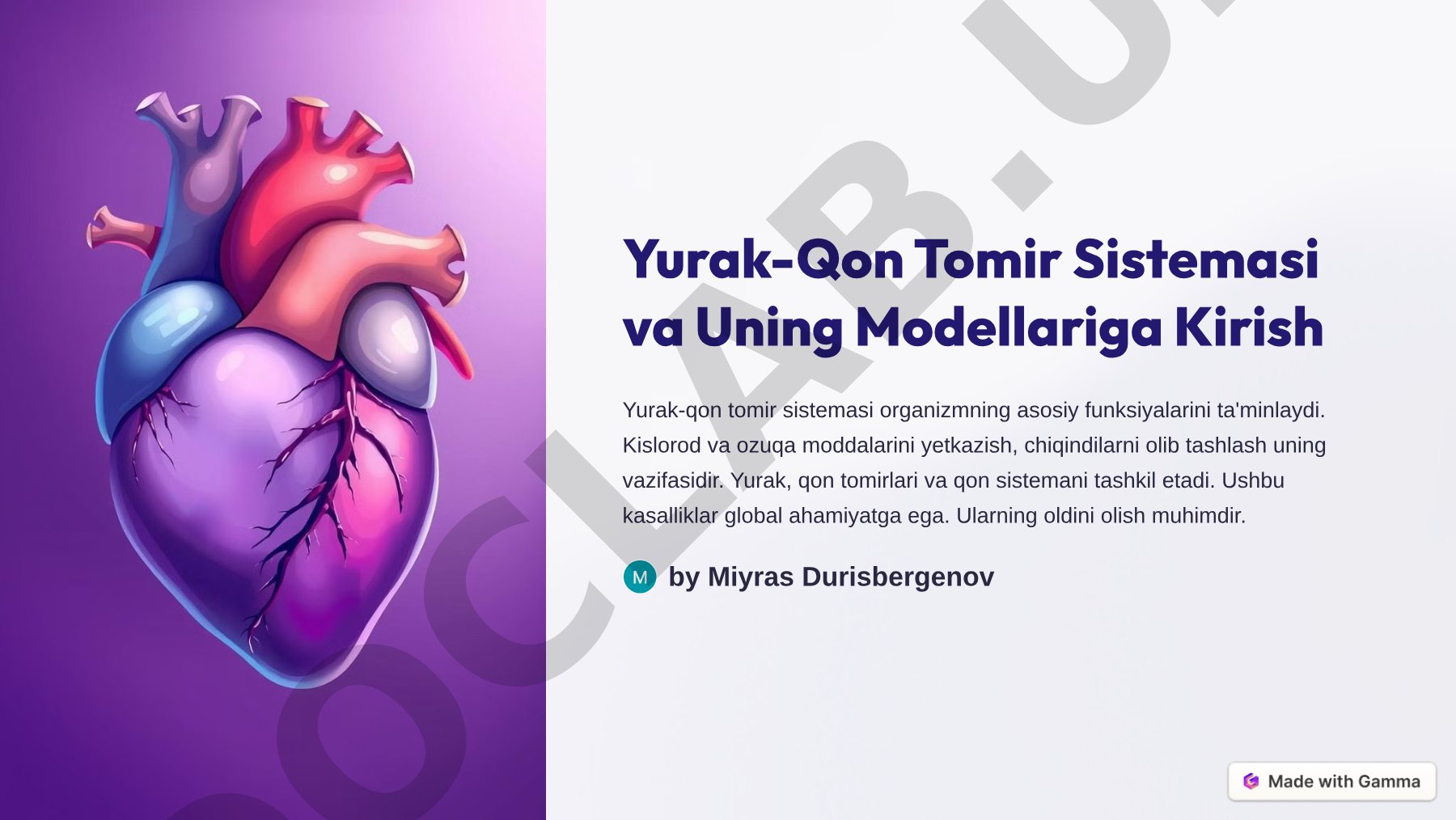 Yurak-Qon Tomir Sistemasi va Uing Modellariga Kirish