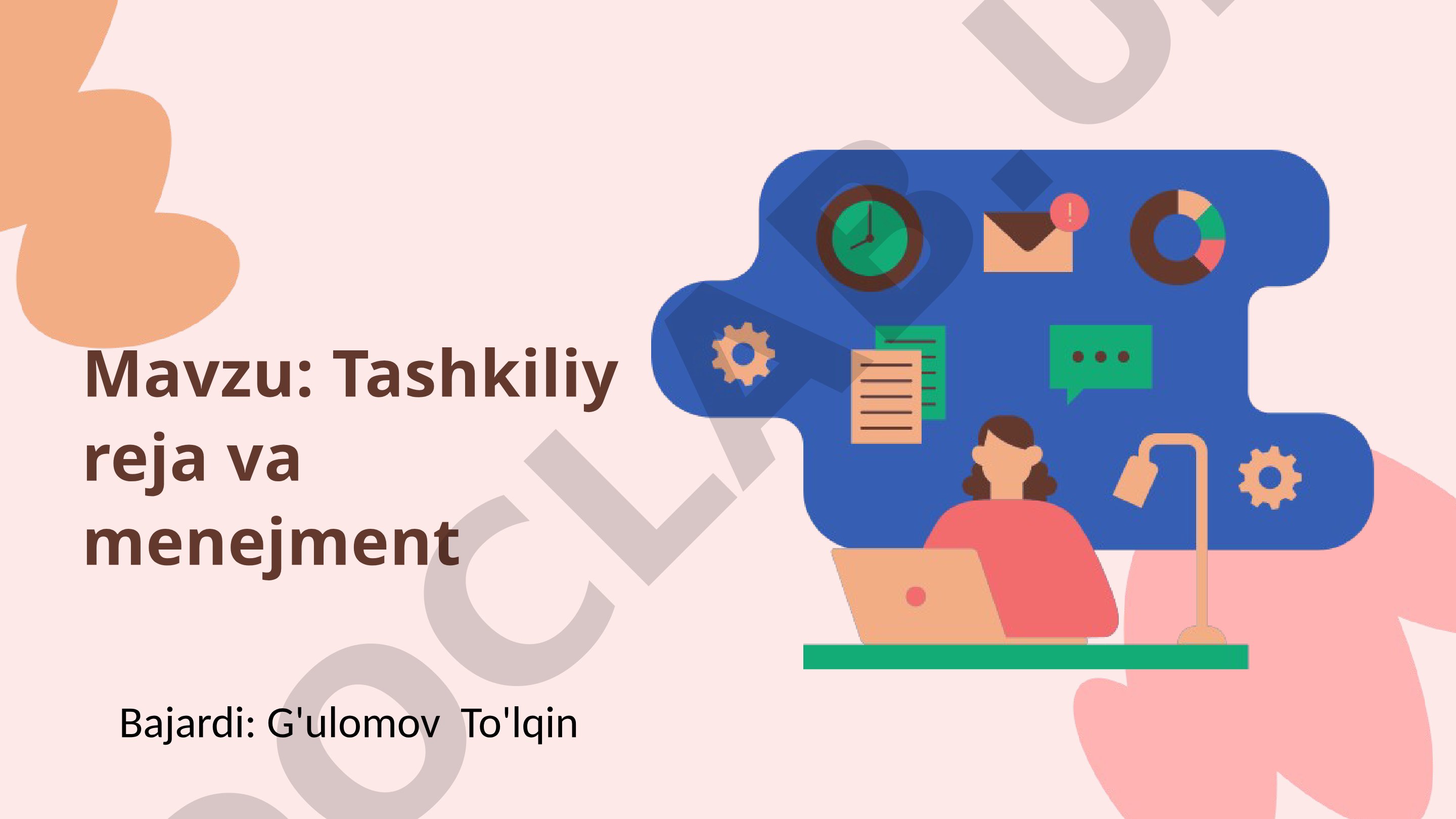 Tashkiliy reja va menejment