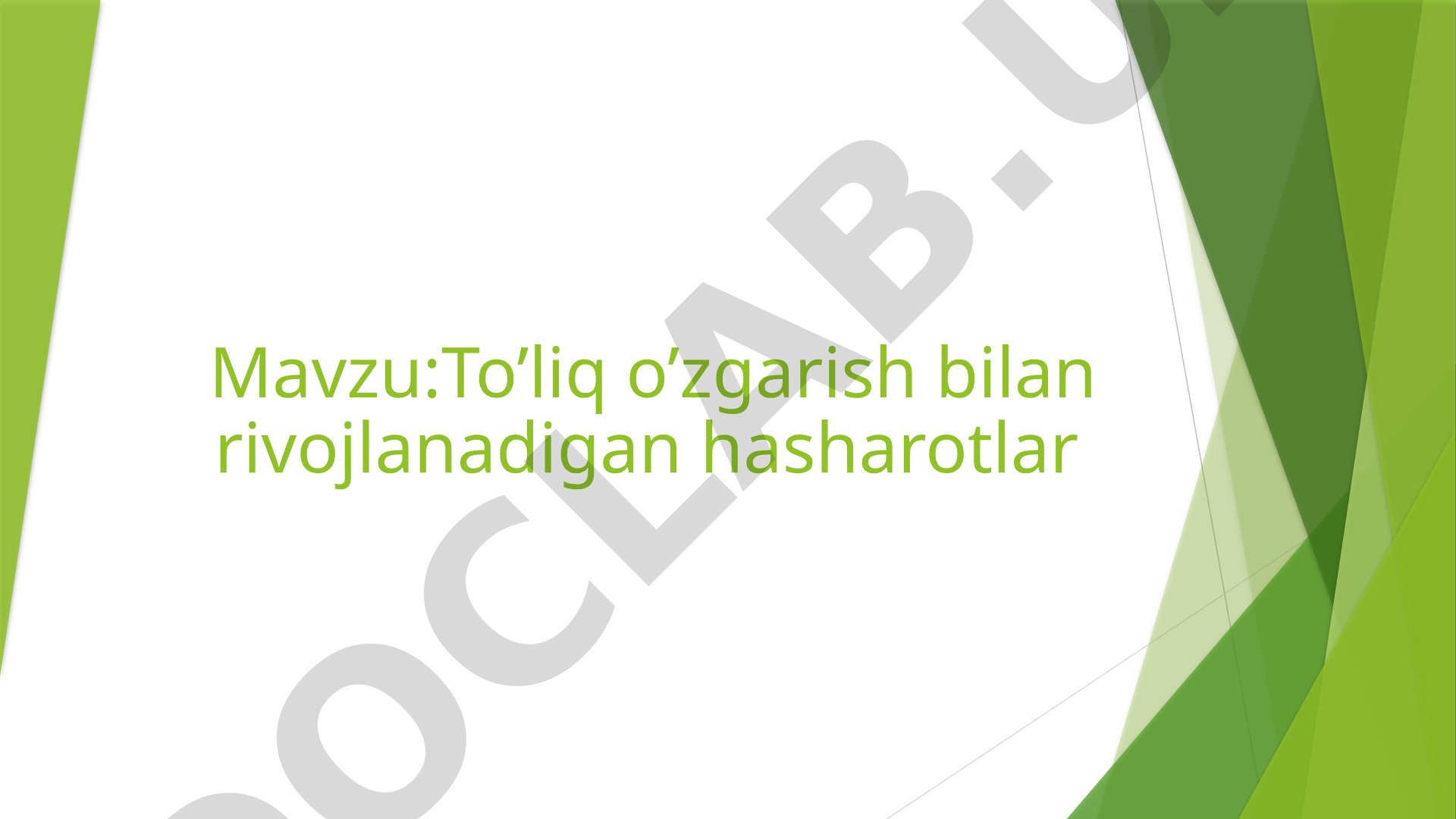To’liq o’zgarish bilan rivojlanadigan hasharotlar