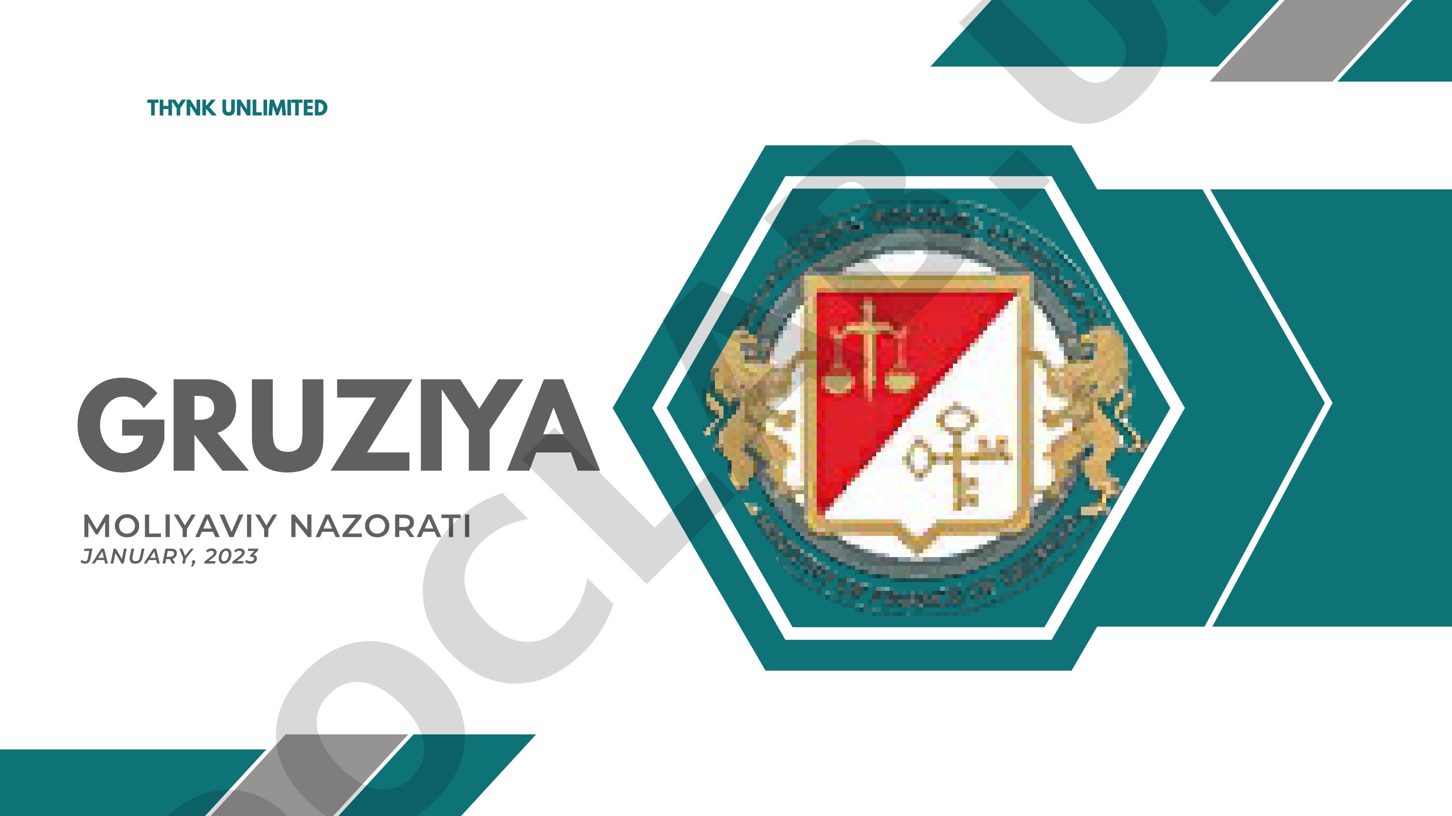 Thynk Unlimited Gruziya moliyaviy nazorati