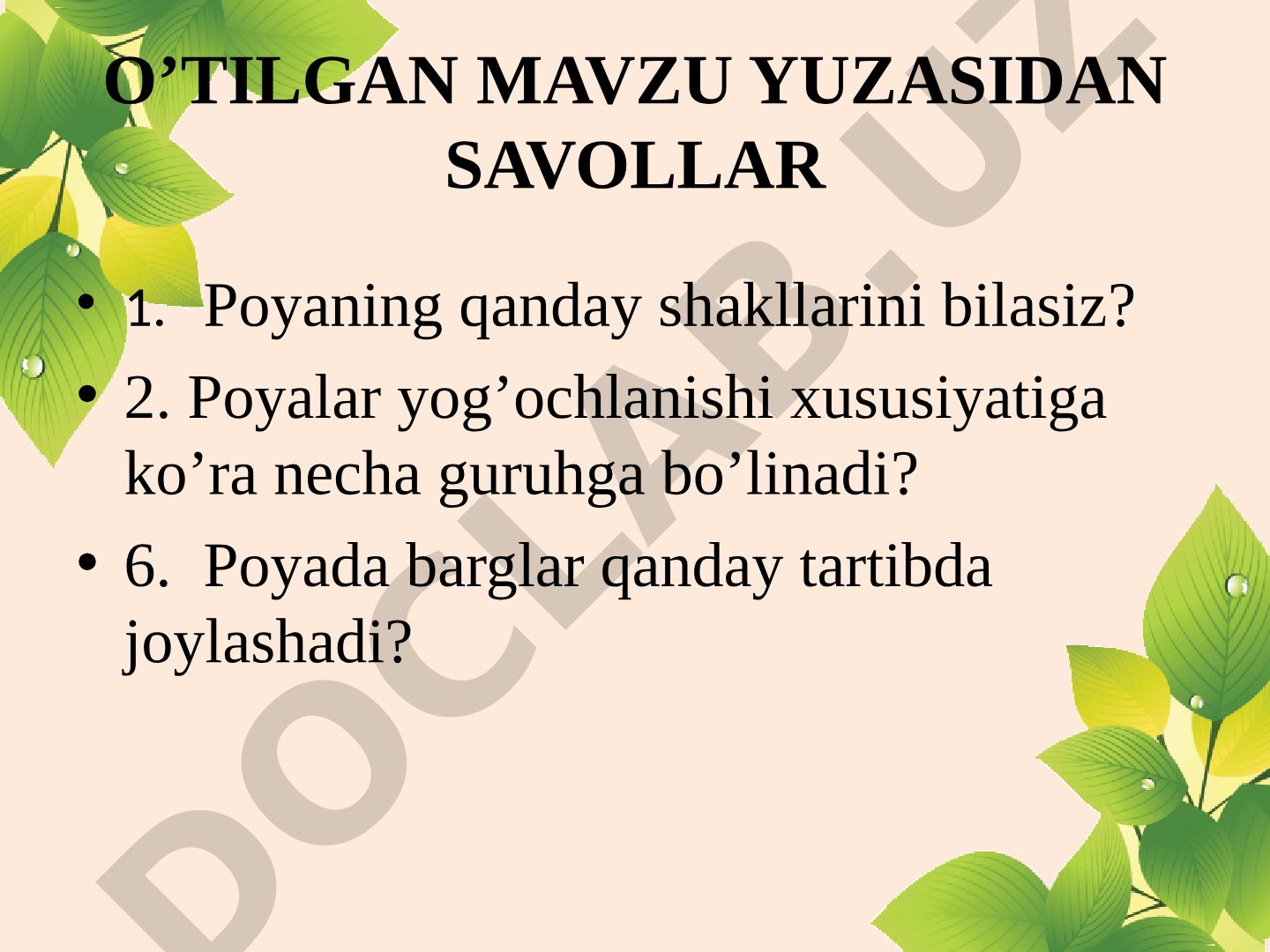 Barg morfologiyasi, ichki tuzilishi va metamorfozi