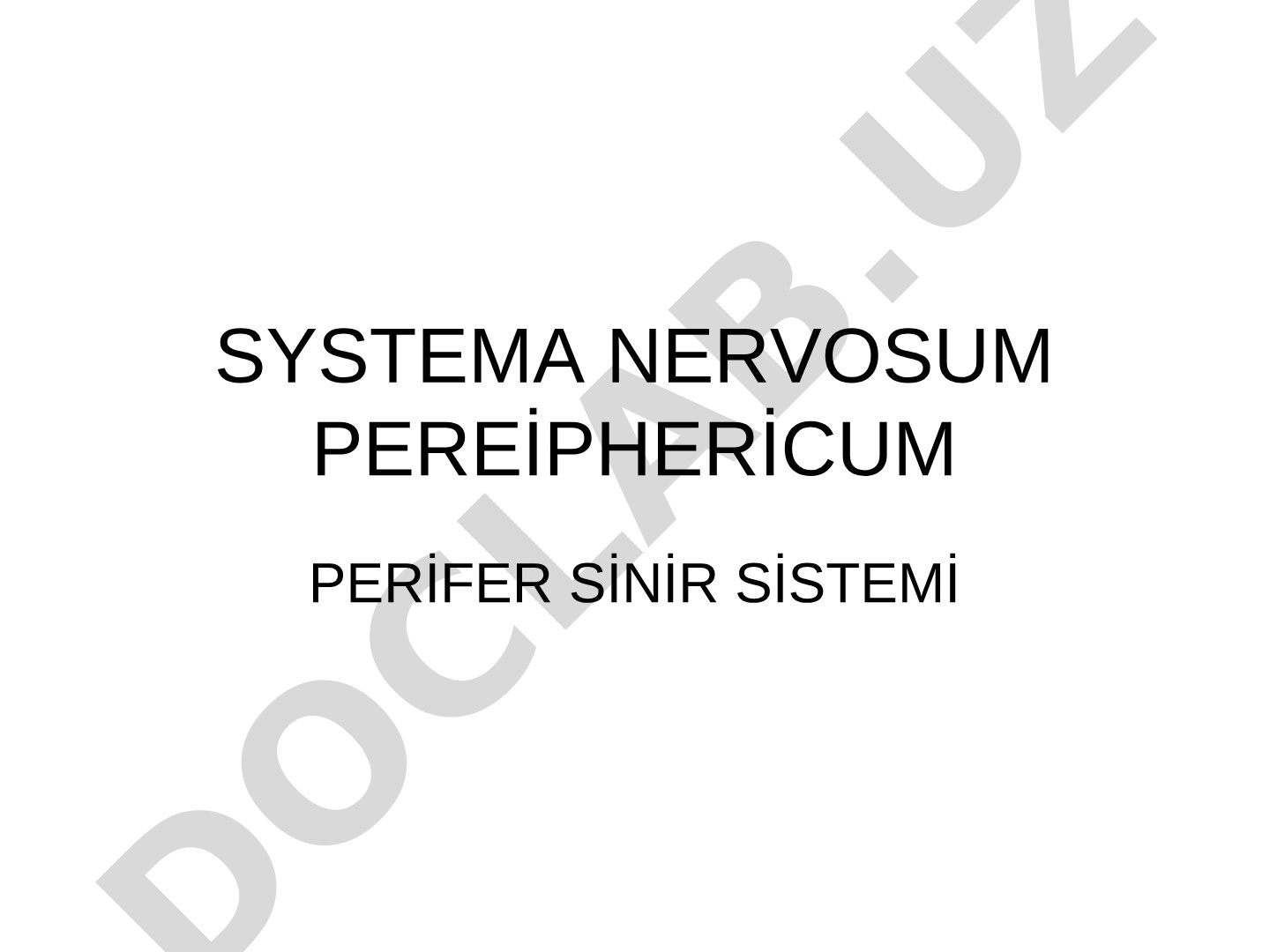 Sistema nervosum pereiphericum perifer sinir sistemi