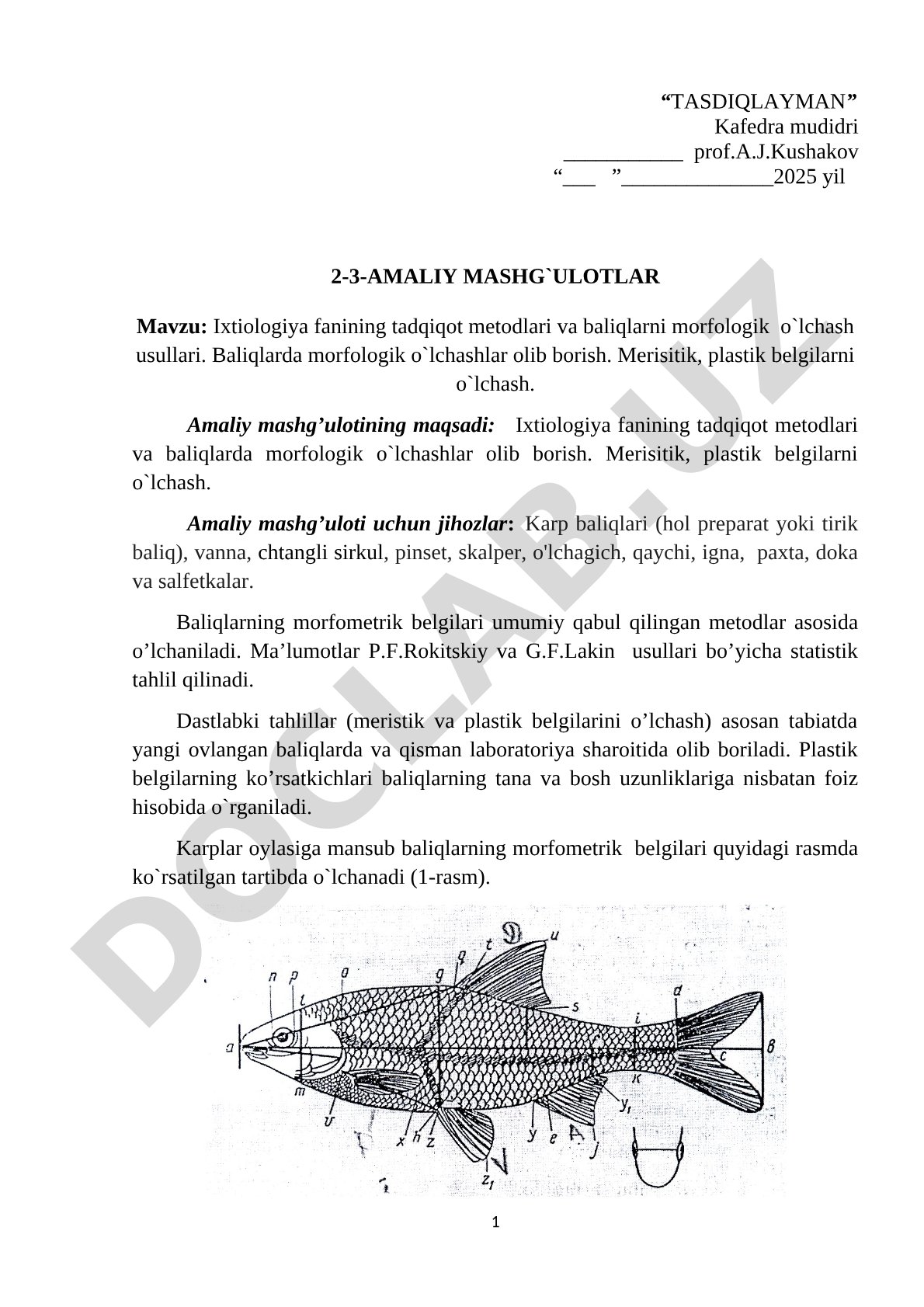 Ixtiologiya fanining tadqiqot metodlari va baliqlarni morfologik o'lchash usullari
