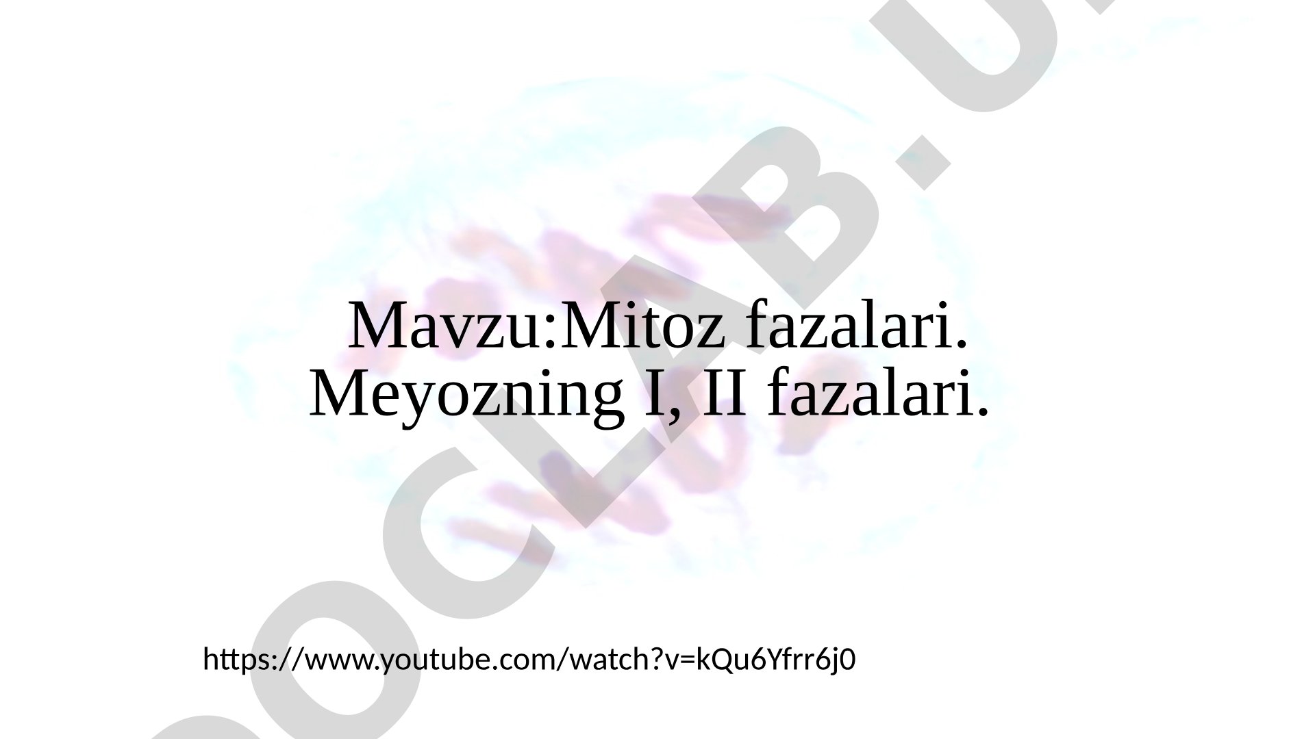 Mitoz fazalari. Meyozning I, II fazalari.