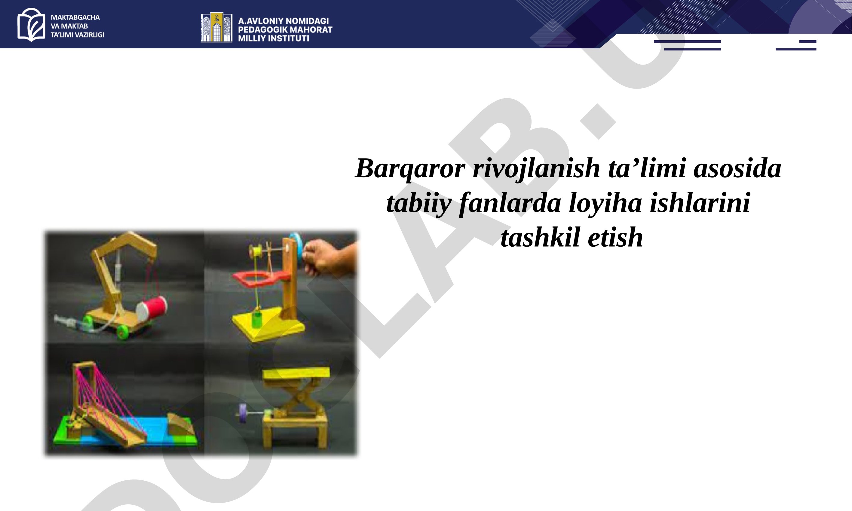 Barqaror rivojlanish ta’limi asosida tabiiy fanlarda loyiha ishlarini tashkil etish