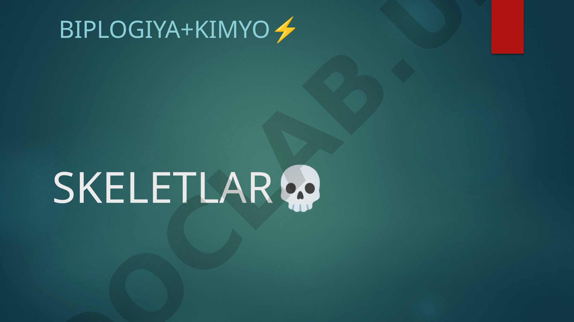 Odam skeleti suyaklari tuzilishi