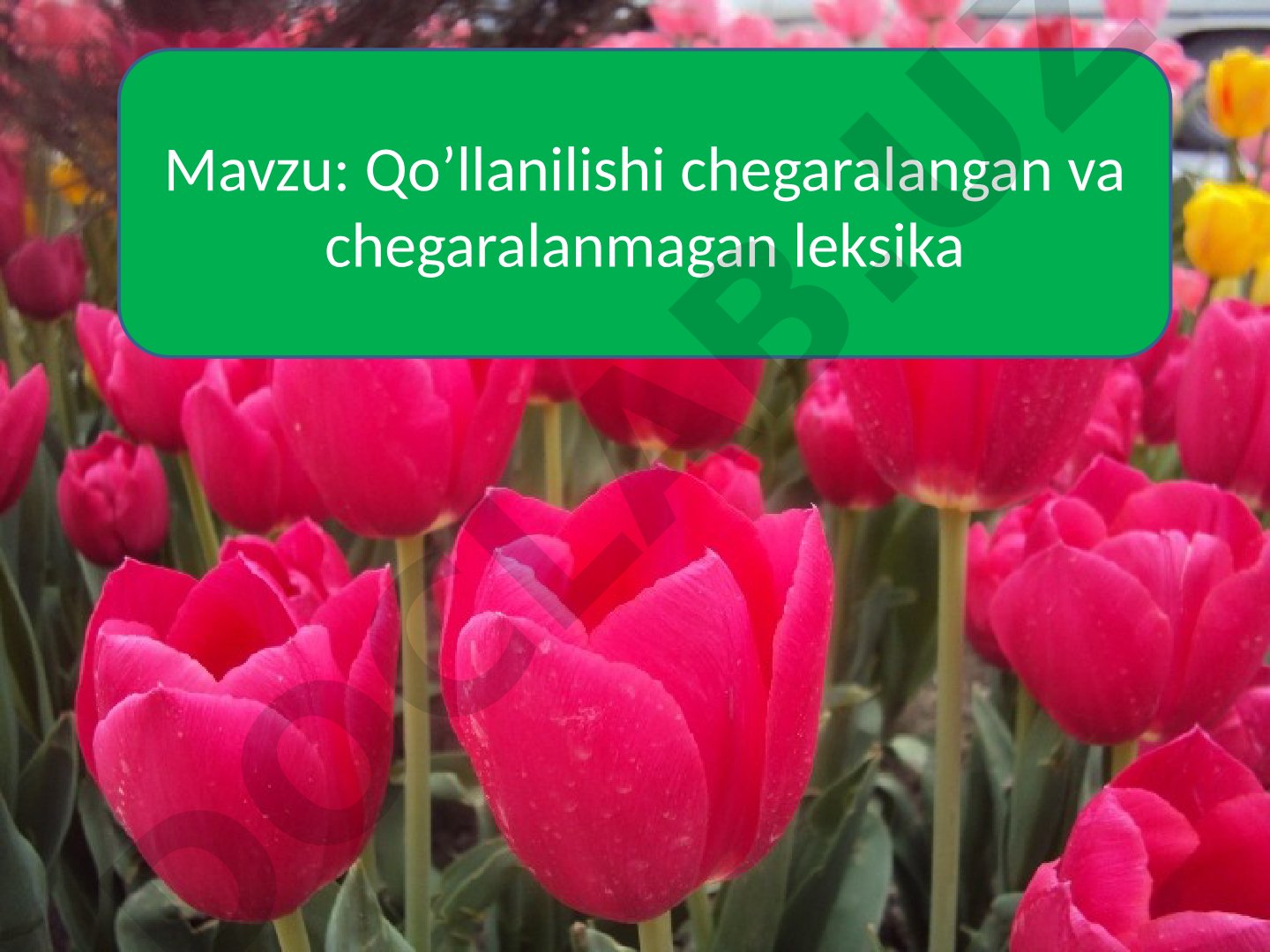 Qo’llanilishi chegaralangan va chegaralanmagan leksika 10-ma’ruza