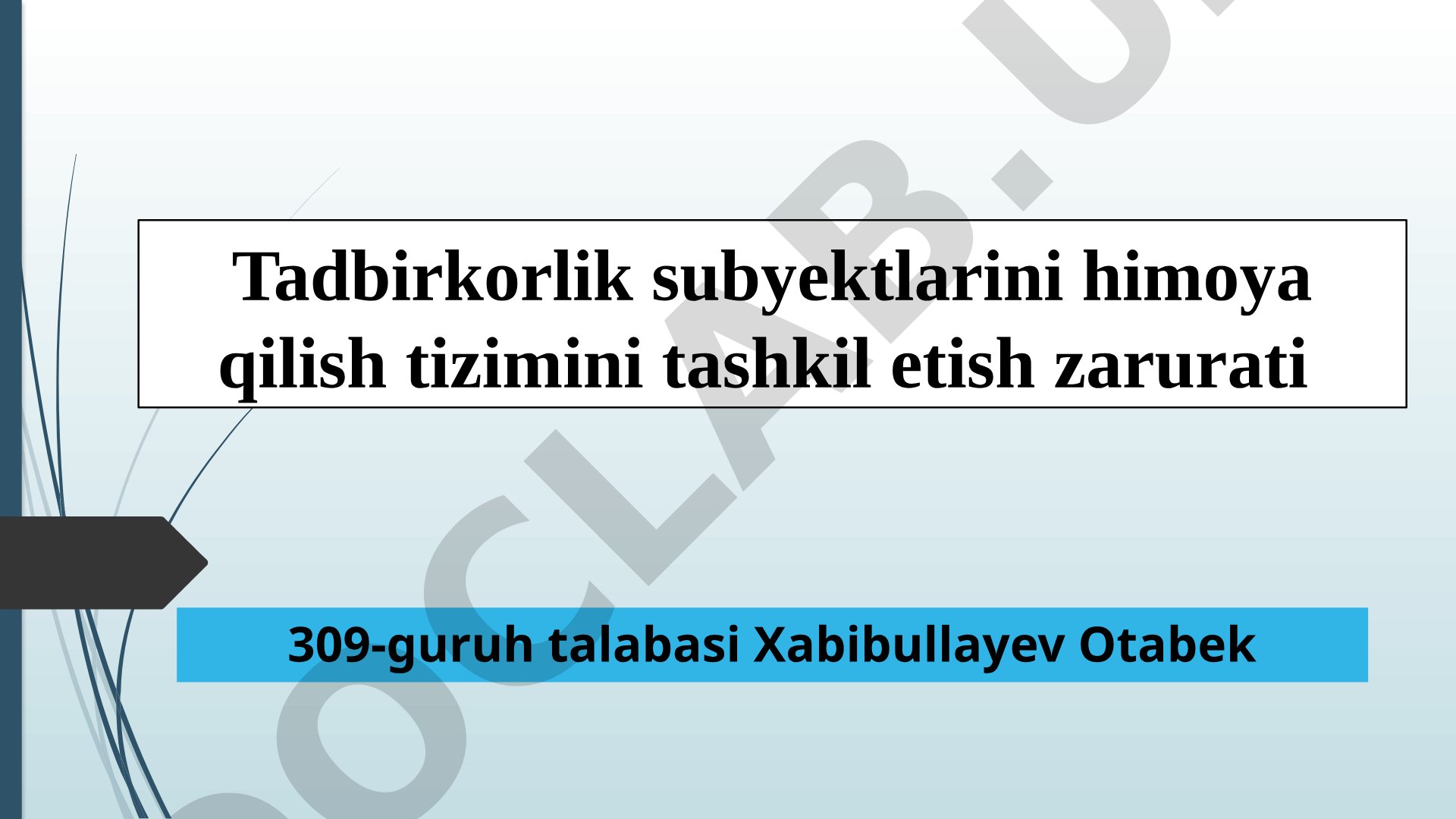 Tadbirkorlik subyektlarini himoya qilish tizimini tashkil etish zarurati