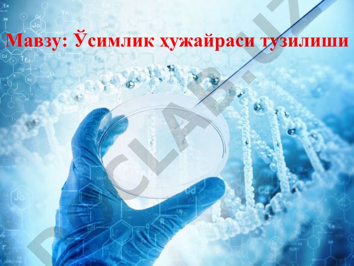 Ўсимлик ҳужайраси тузилиши ва тадқиқот усуллари