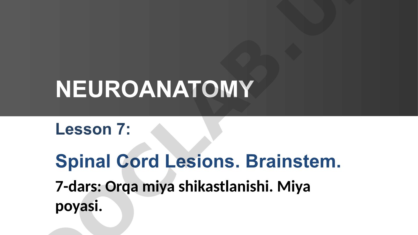 Lesson 7: Spinal Cord Lesions. Brainstem. Neuroanatomy