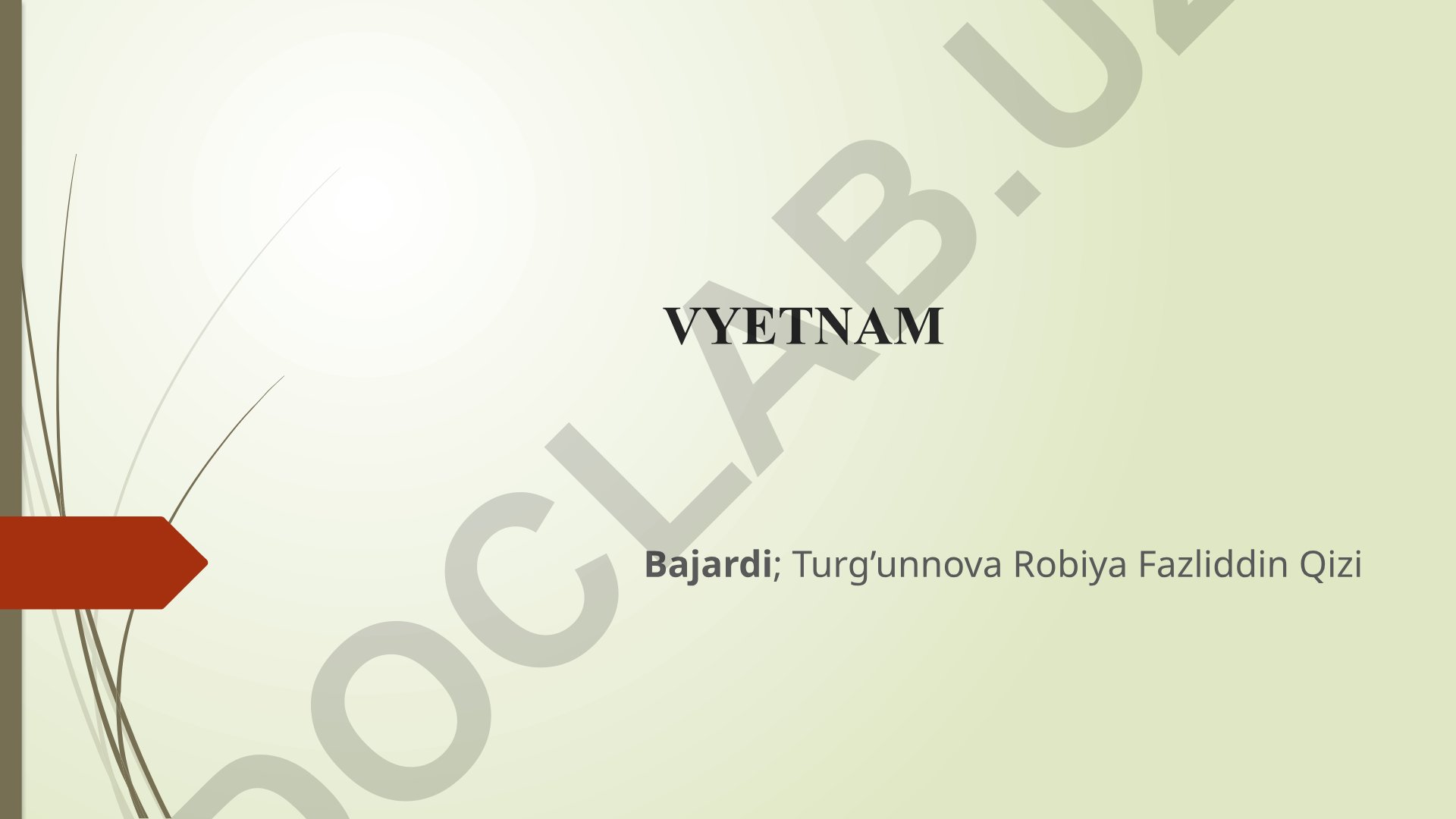 Vyetnam haqida umumiy ma'lumot, tabiati, iqtisodiyoti va madaniyati