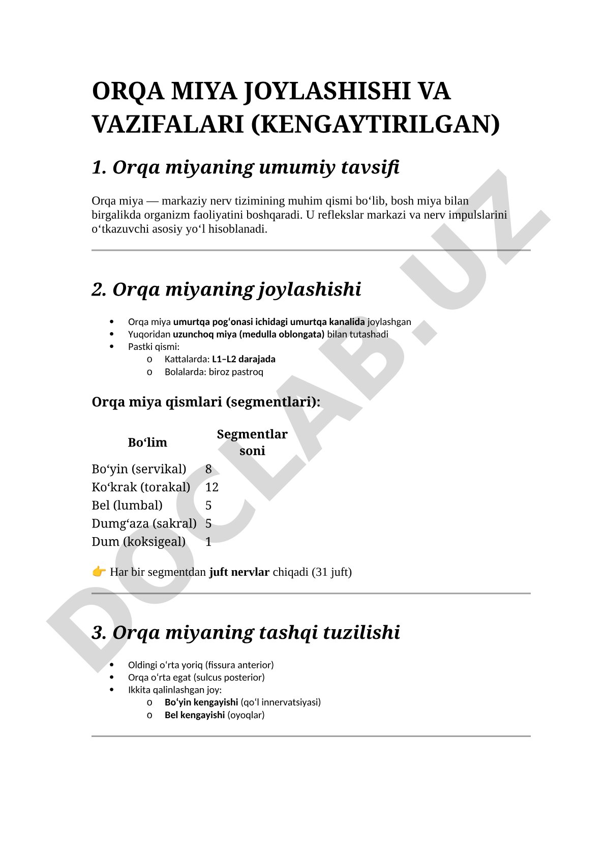 Orqa miya joylashishi va vazifalari (kengaytirilgan)