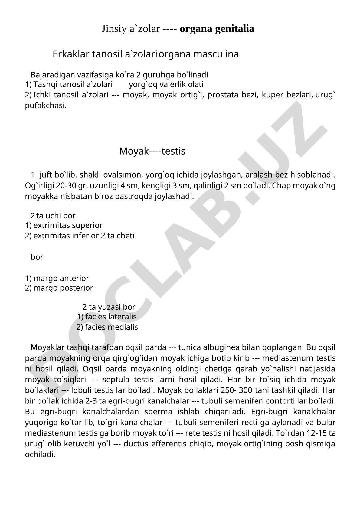 Erkaklar tanosil a`zolari organa masculina