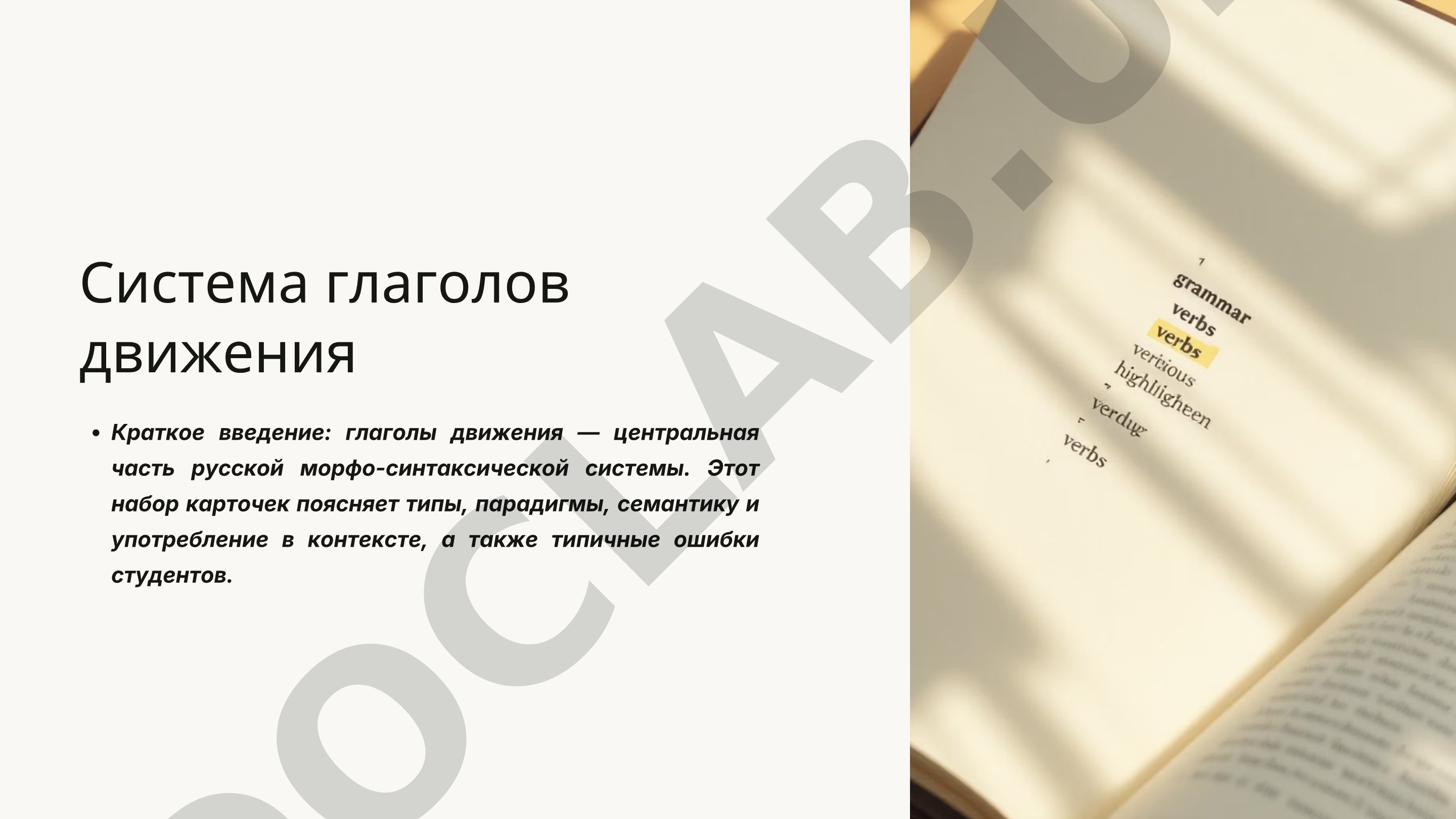 Система глаголов движения