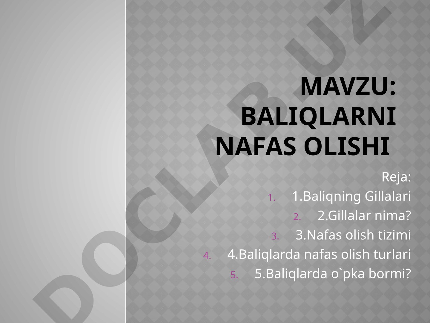 Baliqlarni Nafas olishi