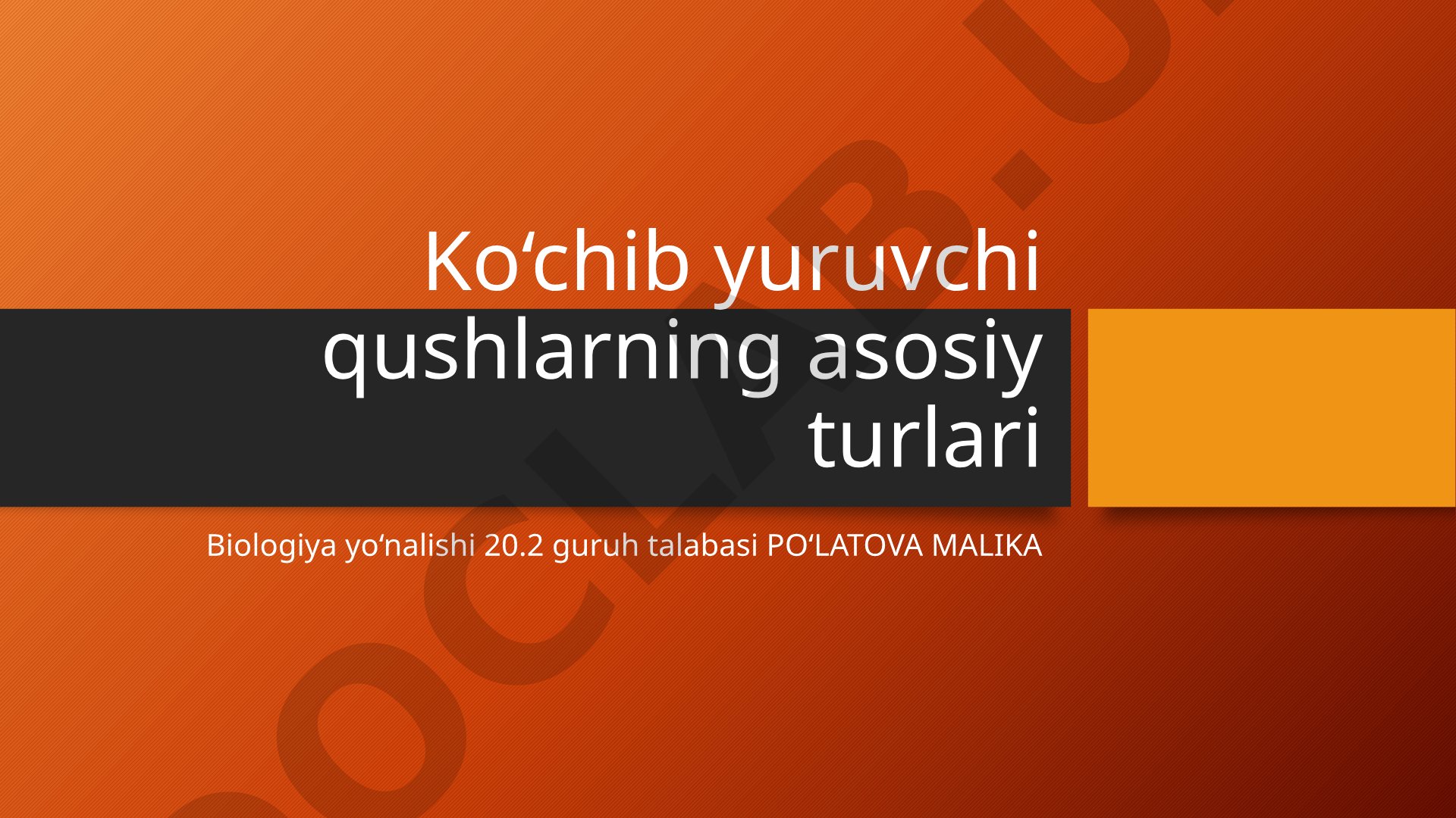 Ko‘chib yuruvchi qushlarning asosiy turlari