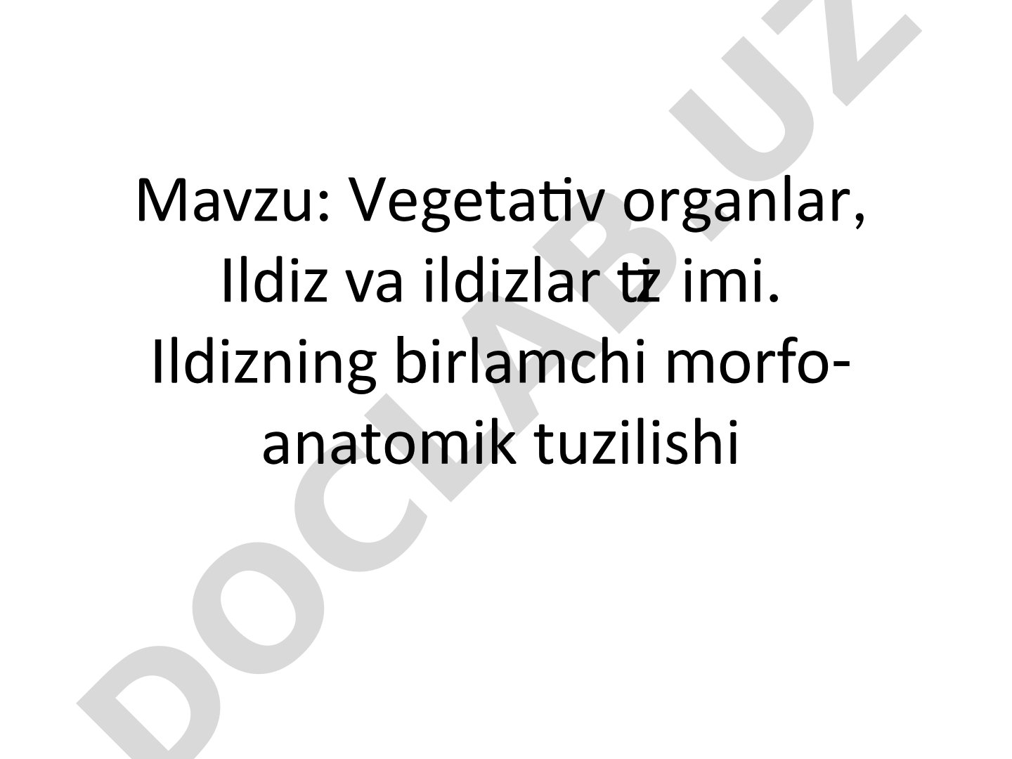 Vegetativ organlar, Ildiz va ildizlar tizimi. Ildizning birlamchi morfo-anatomik tuzilishi