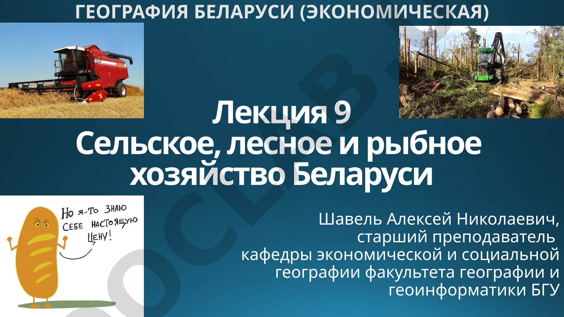 Сельское, лесное и рыбное хозяйство Беларуси