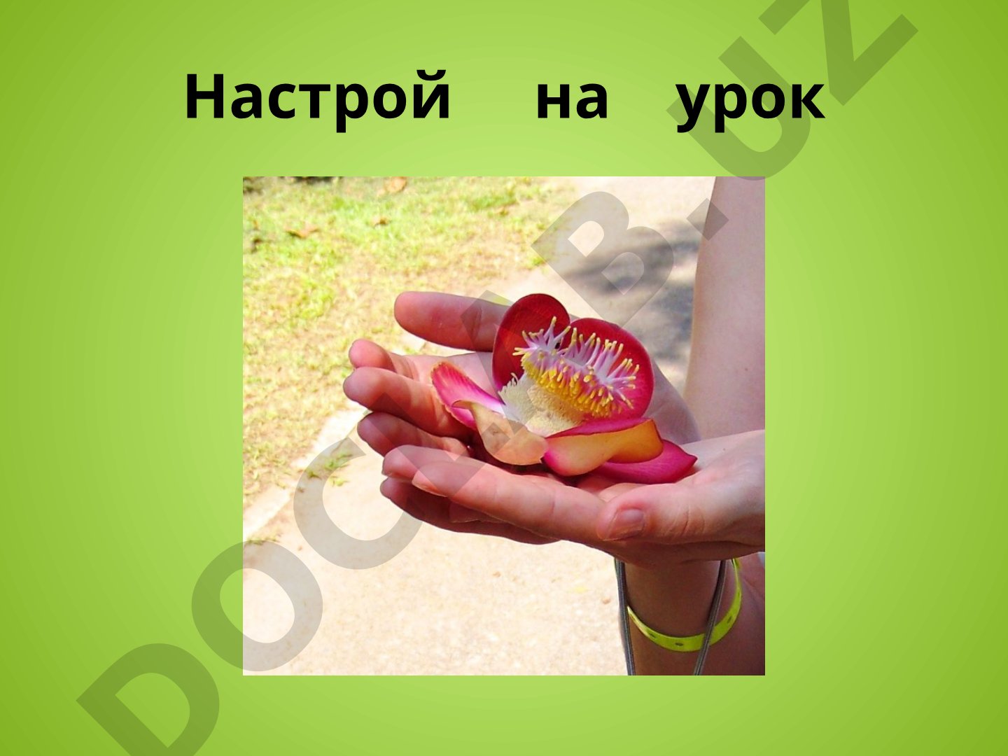 Вежливость: история и значение